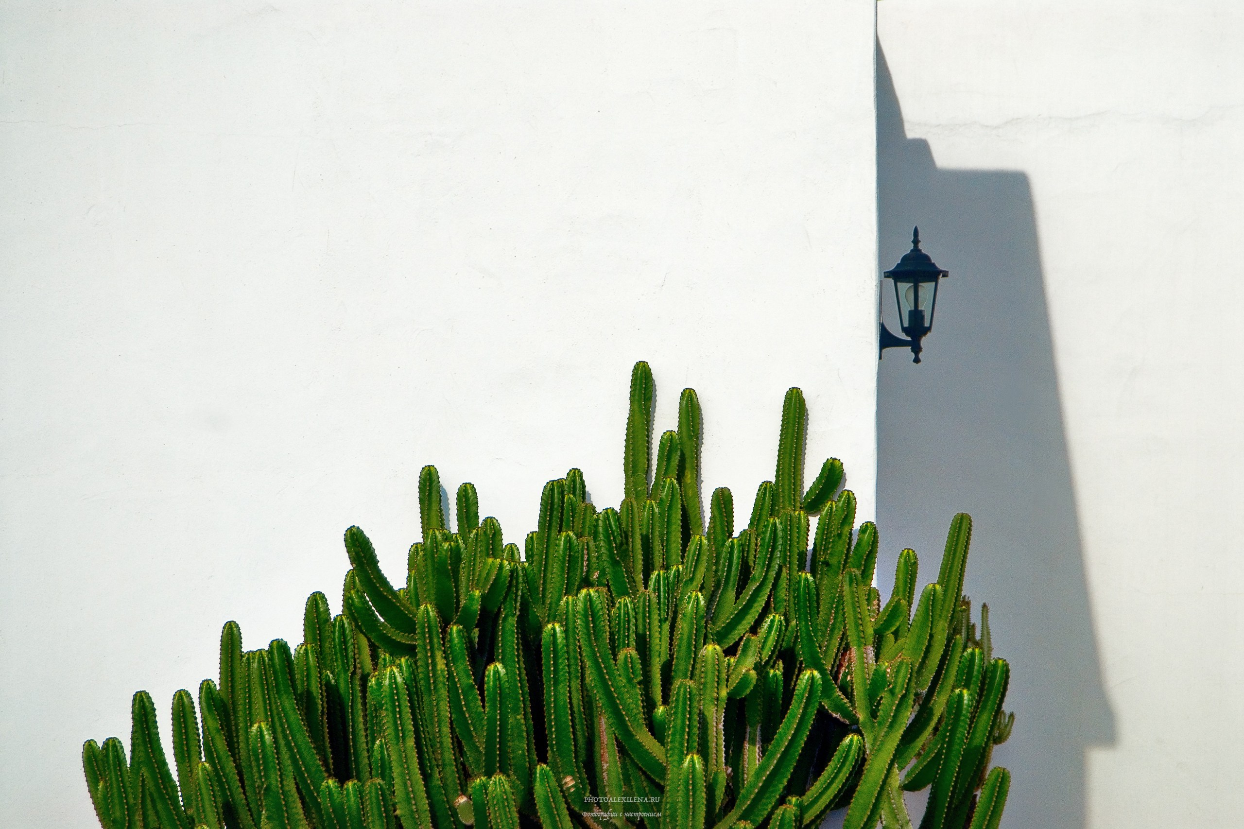 Город. Авторские стильные фотокартины