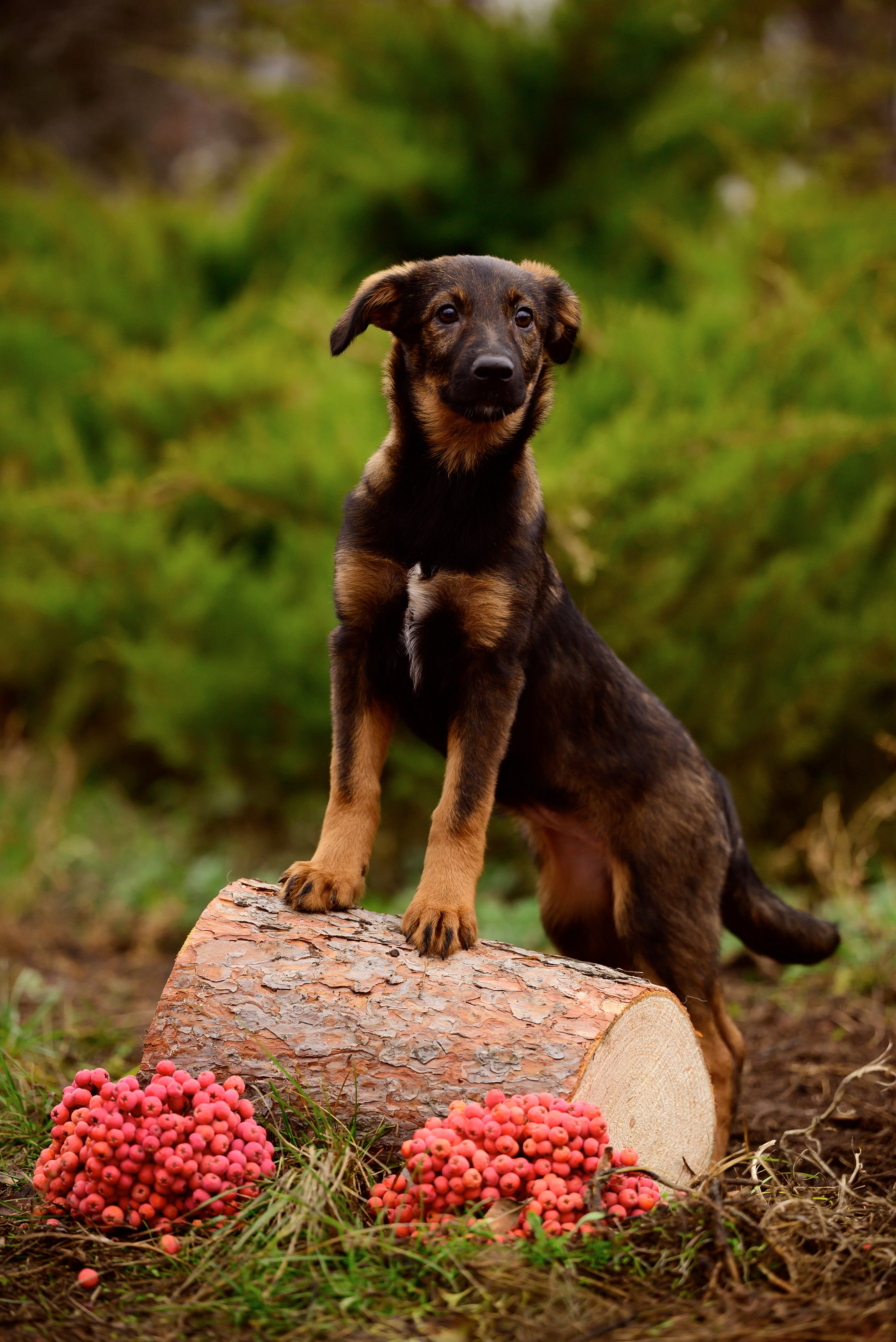 Круассанчики. Мила Астахова