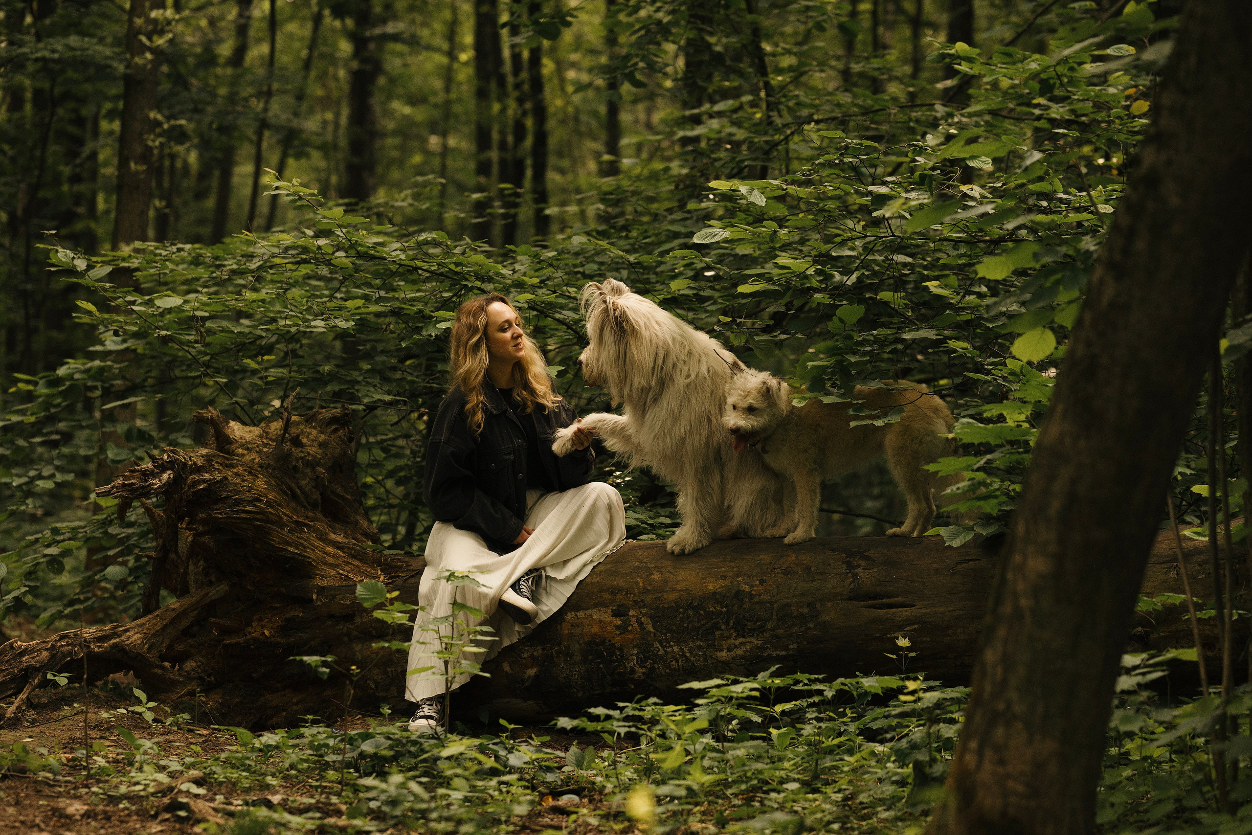 Акиро и Йоши. Фотограф- анималист Александра Матвеева