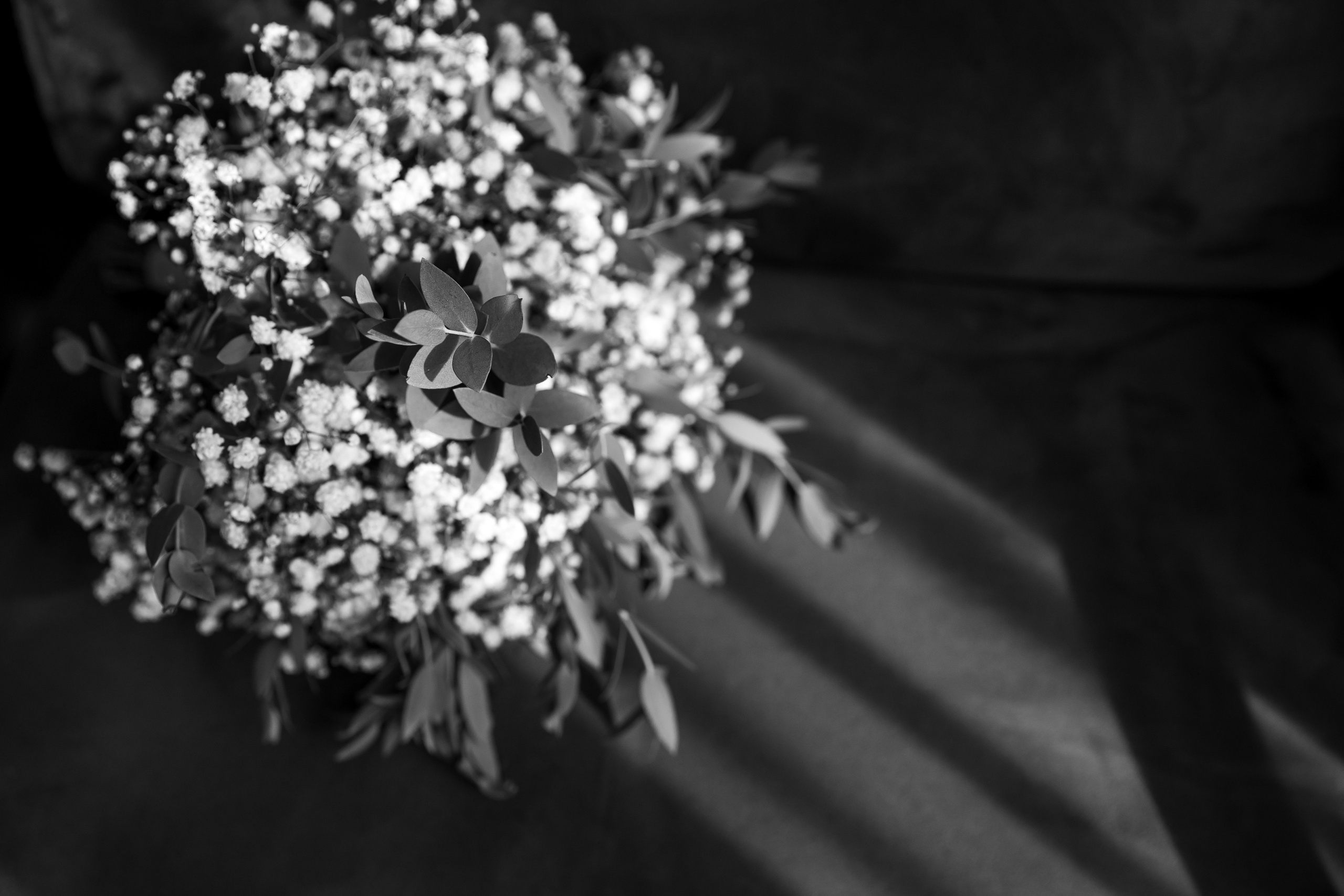 Александр и Анастасия. Свадебный и семейный фотограф в Новосибирске Юлия Герасимчук