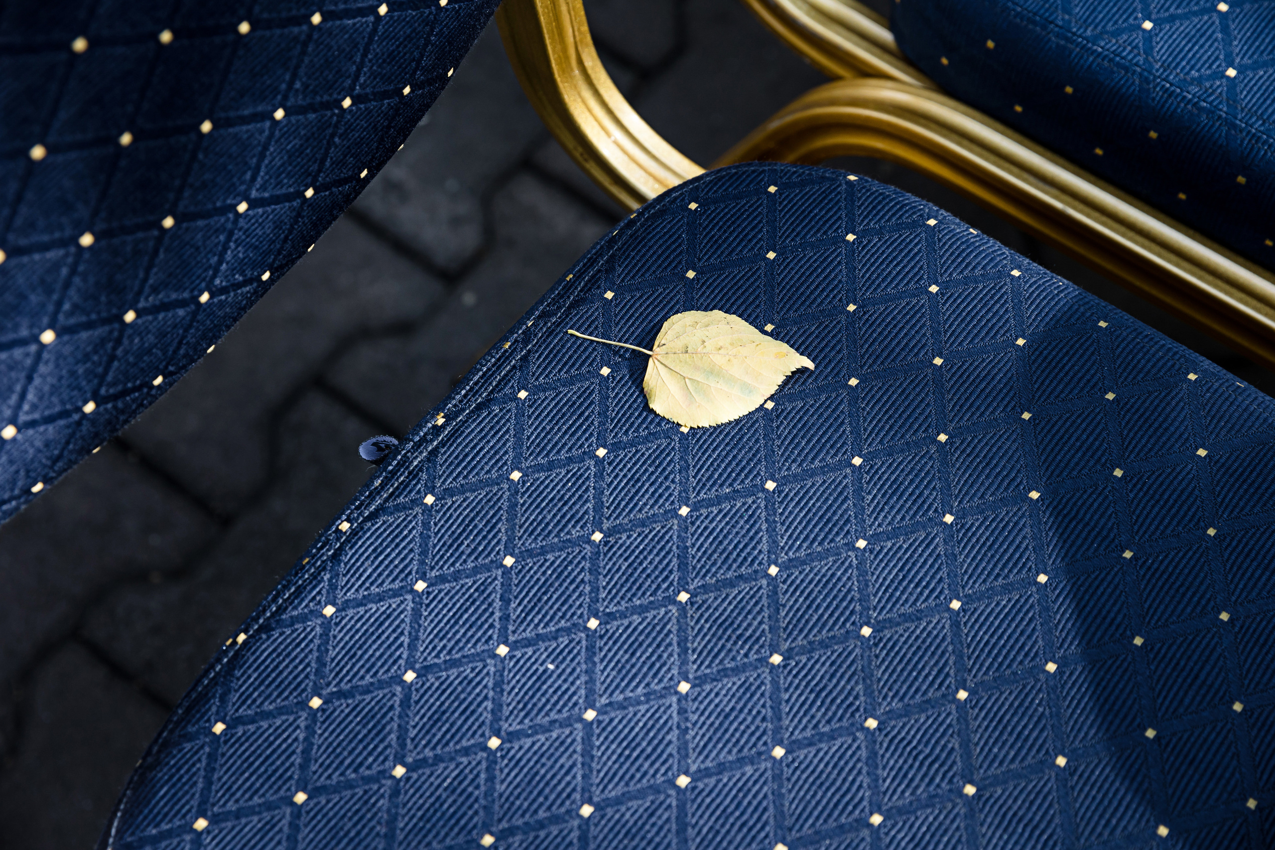 Александр и Анастасия. Свадебный и семейный фотограф в Новосибирске Юлия Герасимчук