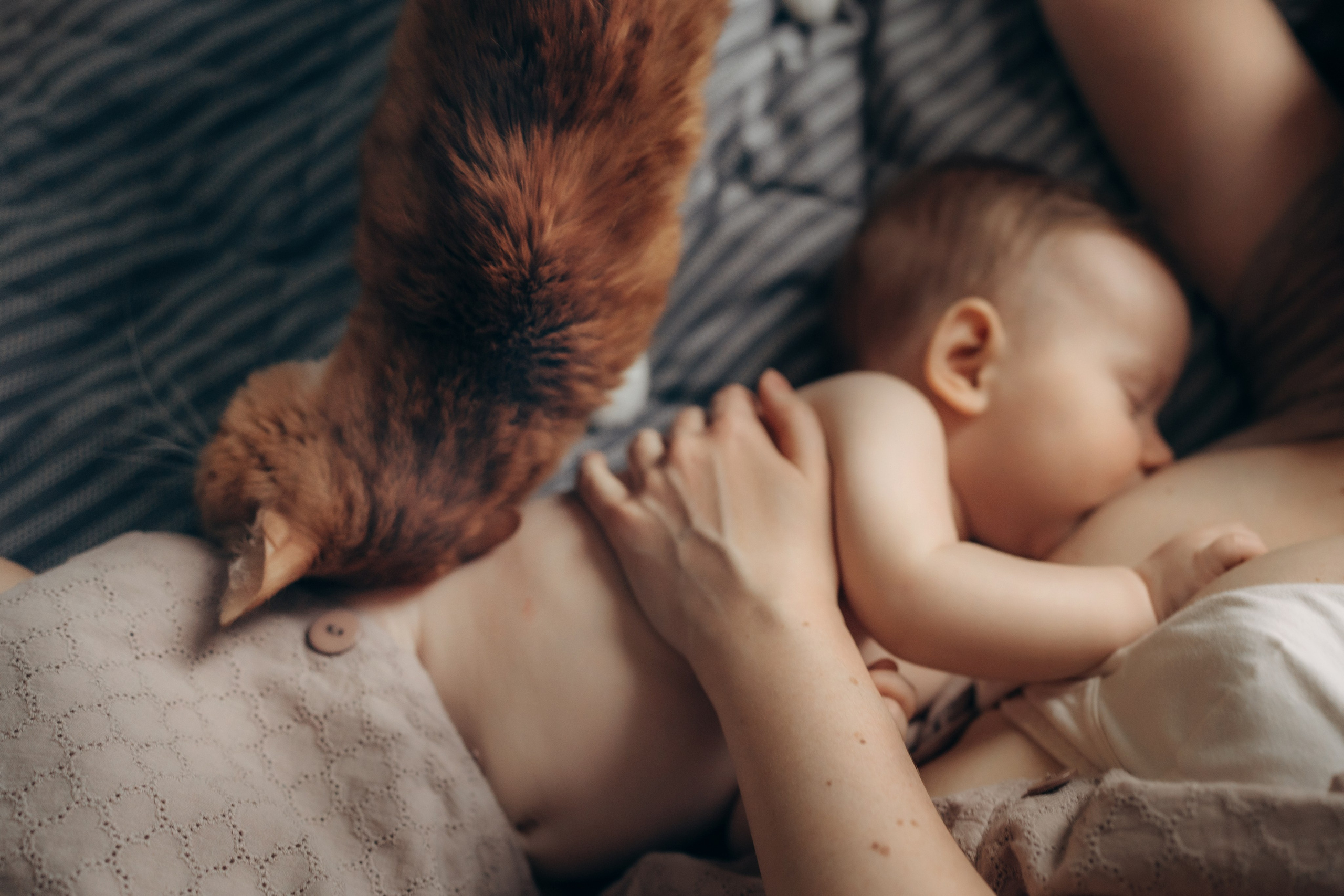 Домашняя фотосессия мамы и дочки. Детский, семейный и ньюборн фотограф в Москве Юлия Шуарт