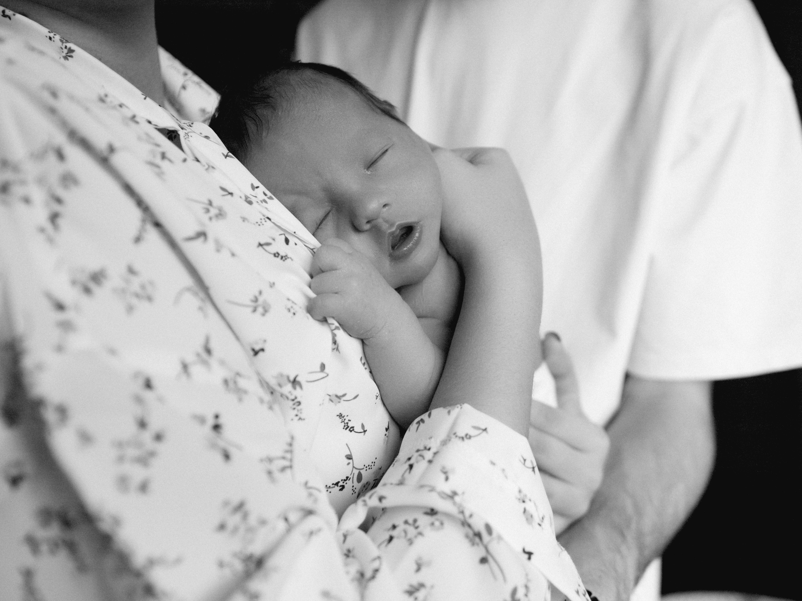 Мироша. SHILOVA PHOTO. Шилова Екатерина. Фотограф. Москва