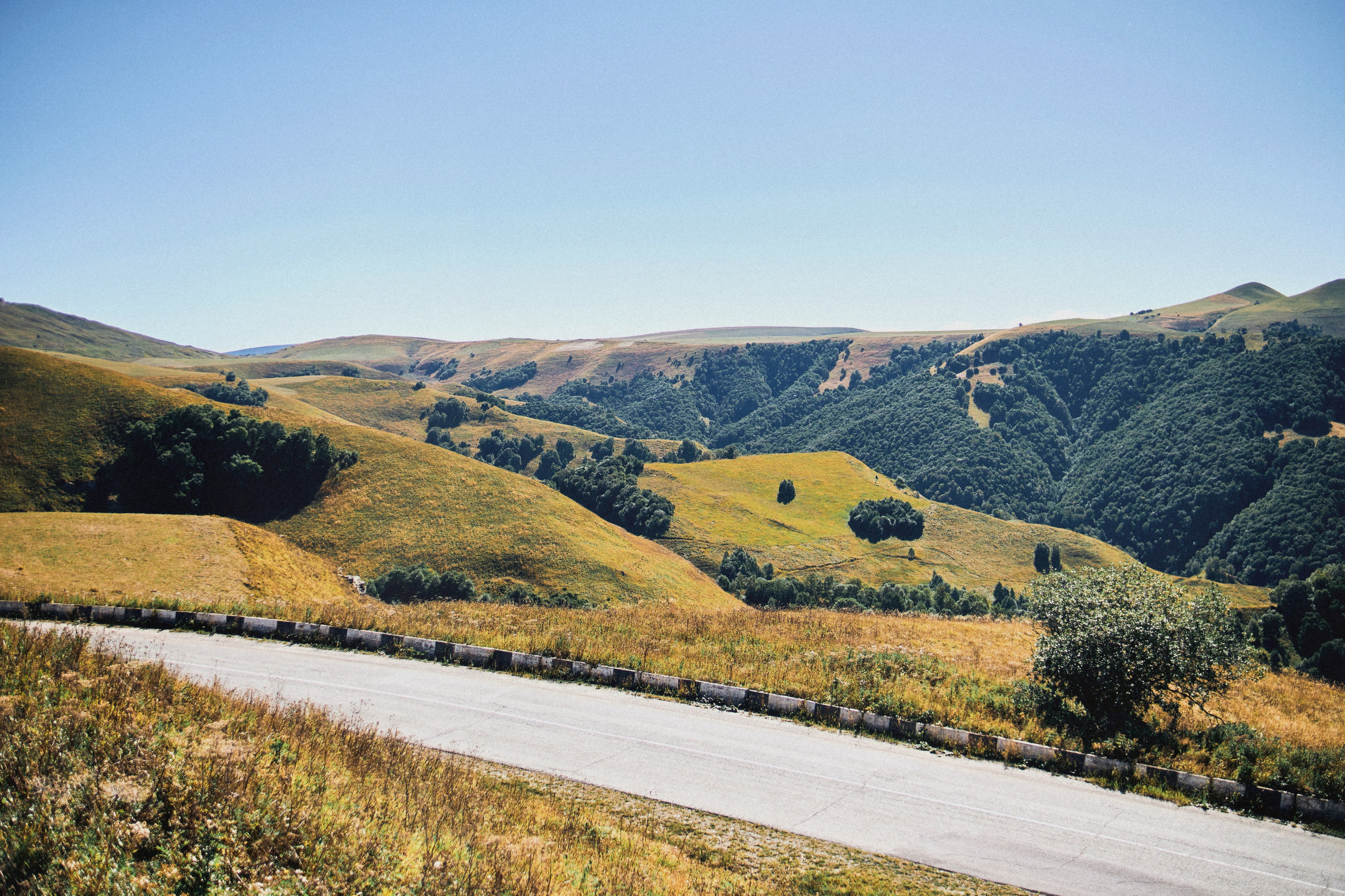 Kavkaz. SHILOVA PHOTO. Шилова Екатерина. Фотограф. Москва