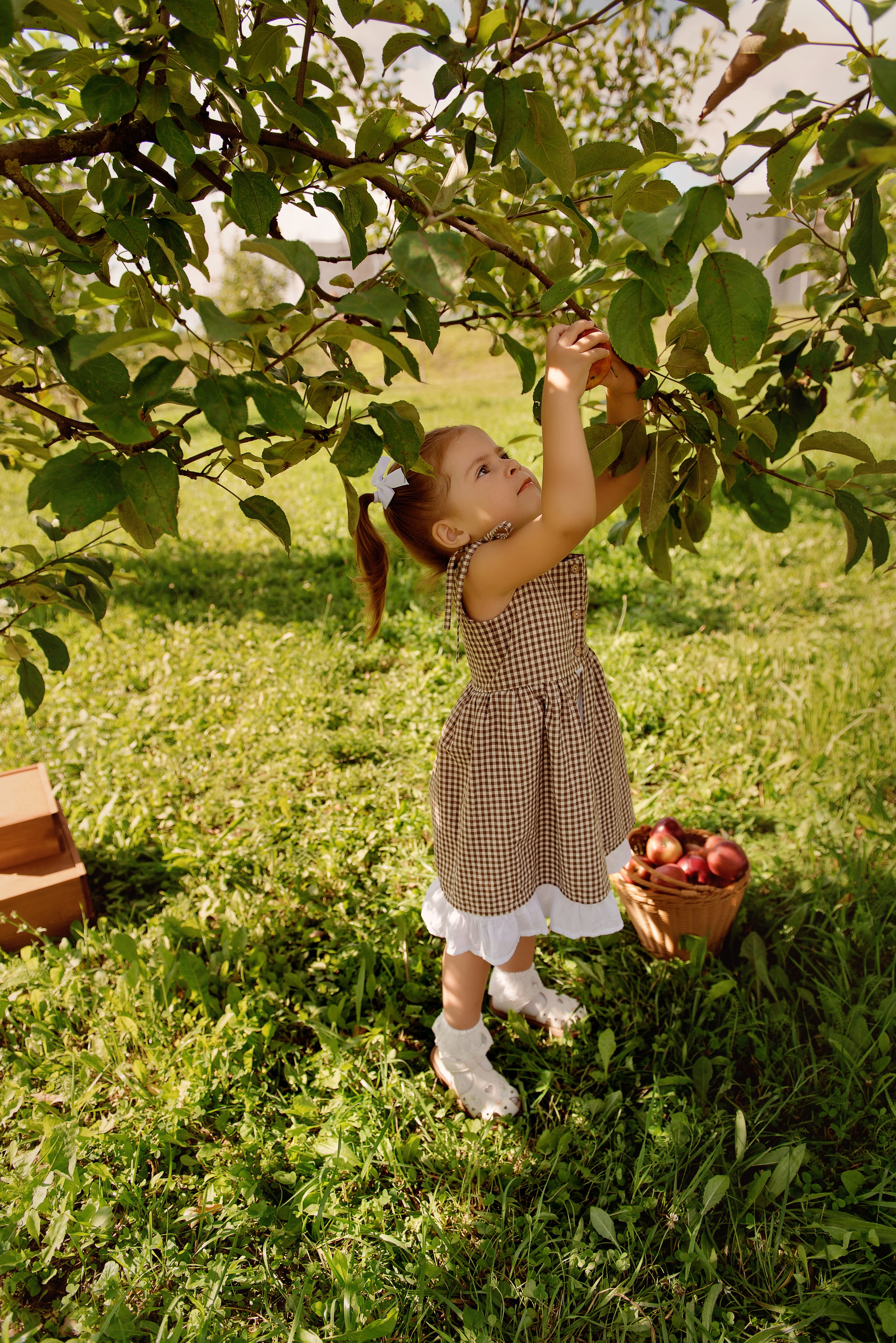 Яблоневый сад. Детский фотограф в Долгопрудном и Москве