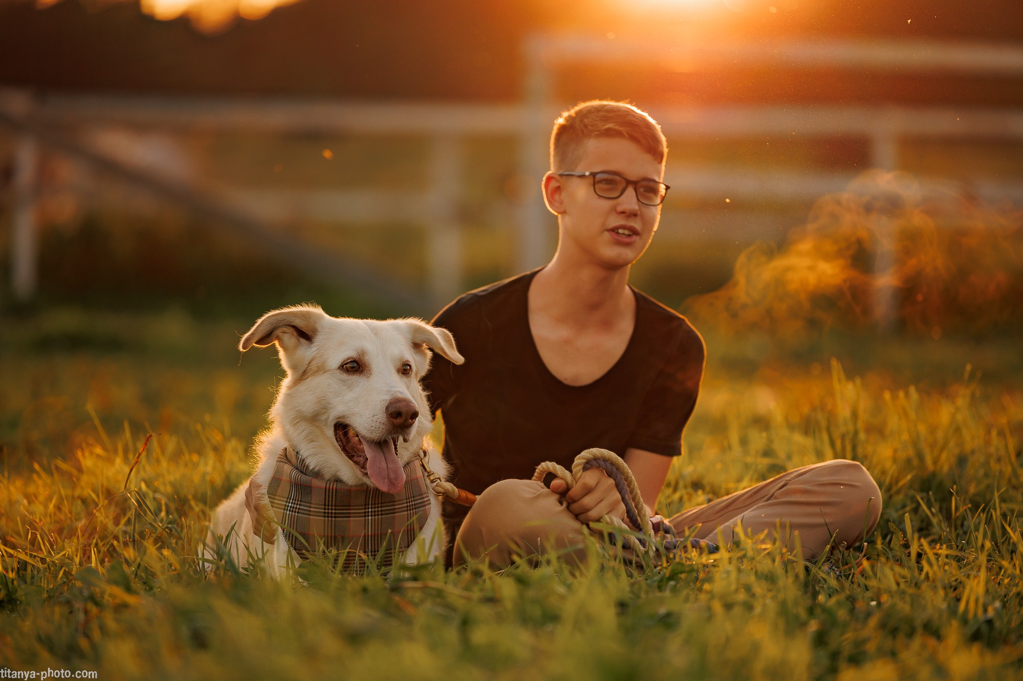 Закатная семейная фотосессия: про Настю и её дружную семью. Фотограф собак, фотограф-анималист Аня Титова (Titanya). Москва
