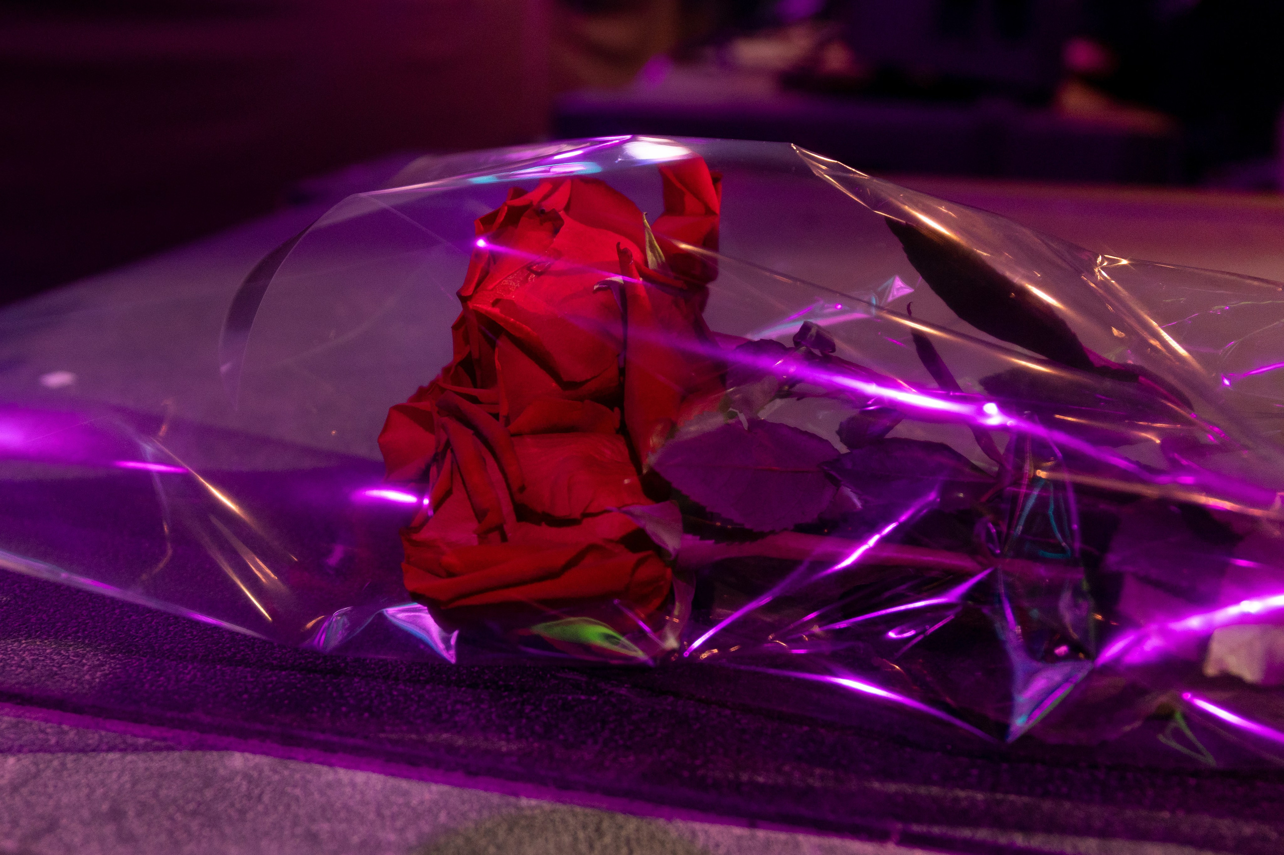 Иванушки International, Live Арена. Фотограф Ольга Махалова — Санкт-Петербург, Москва, Нижний Новгород