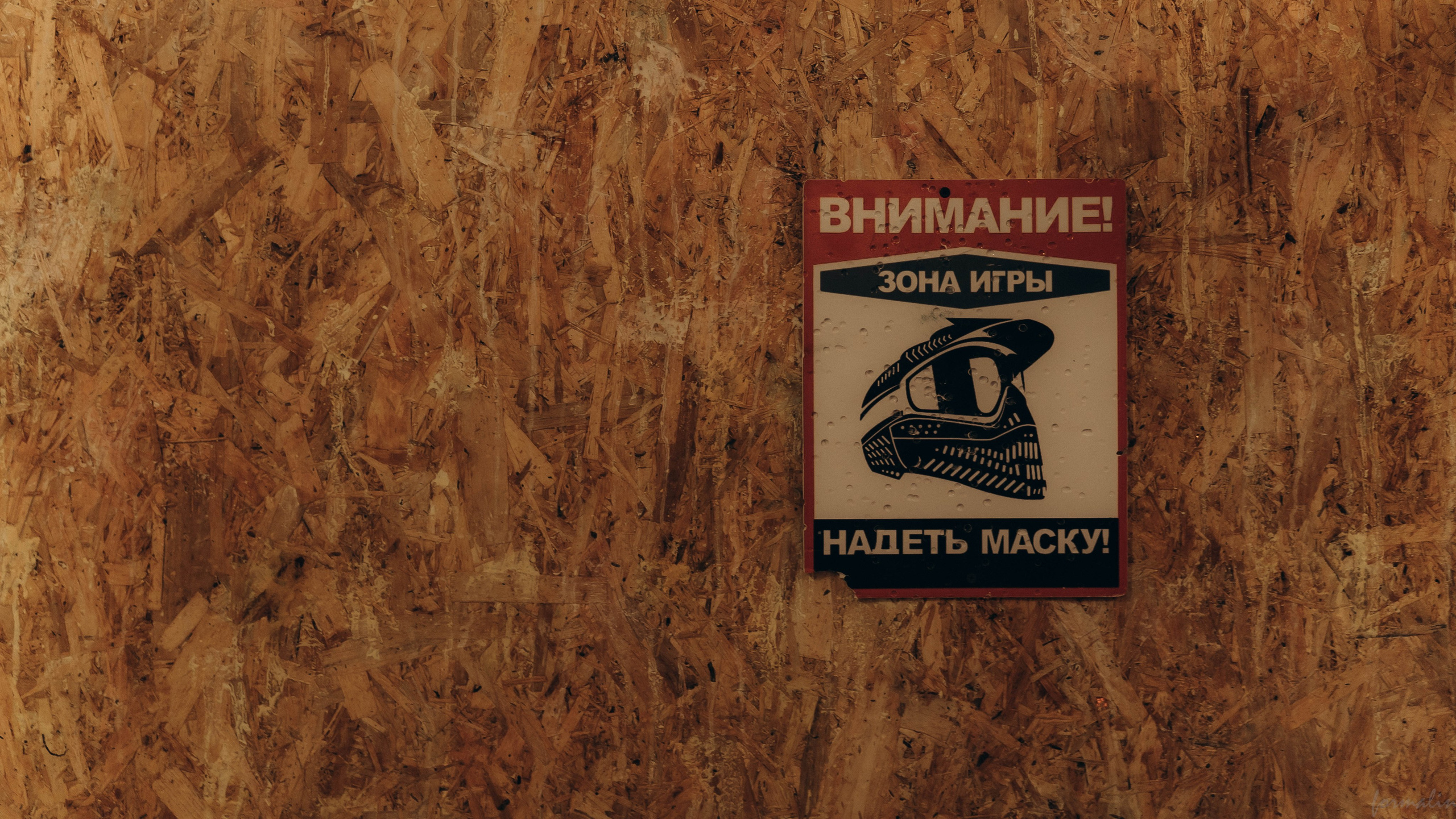 Соревнования «Бункер». Алиса Никитцова | Фотограф в Казани