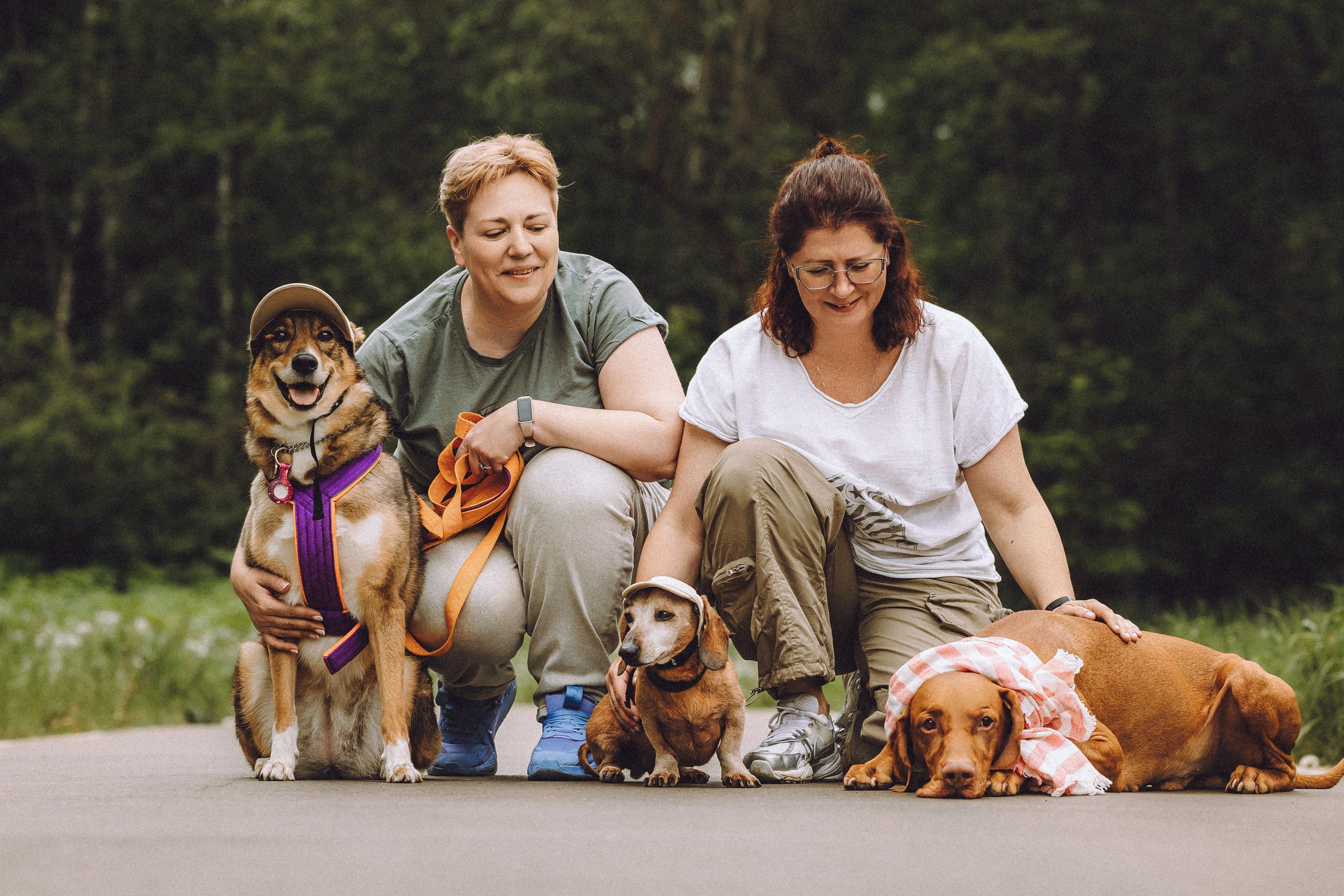 Груша, Данни, Фунтик и их семья