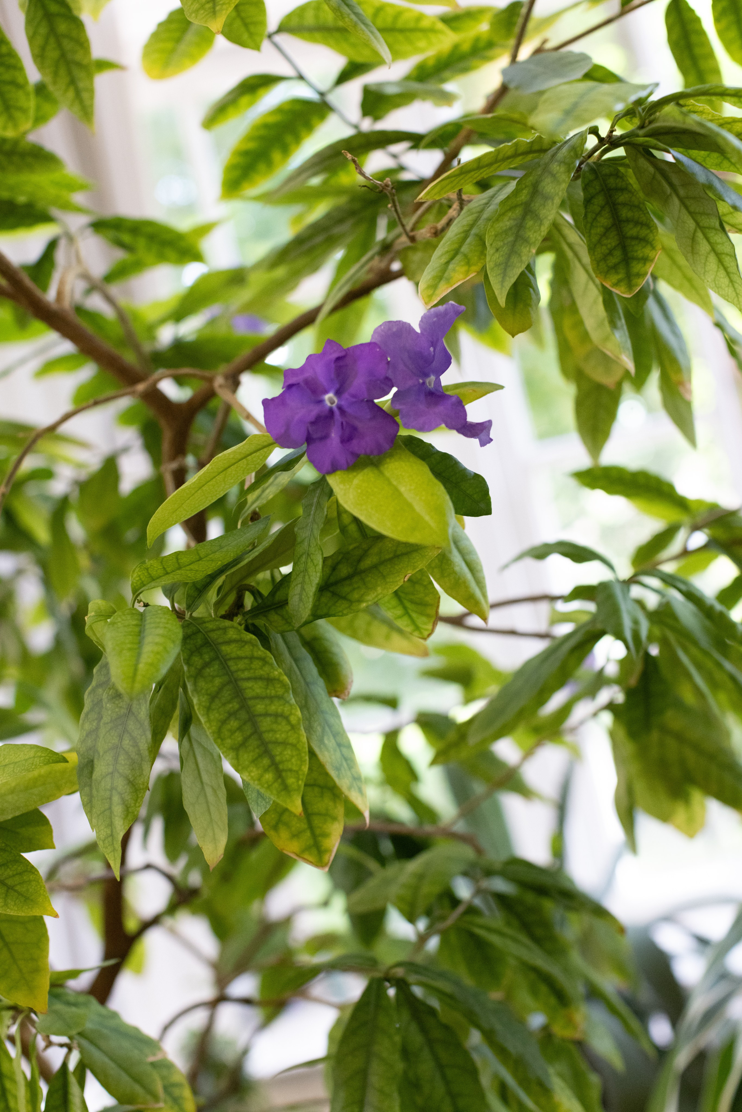 Фото Москвы. Студия Максима Белослюдцева