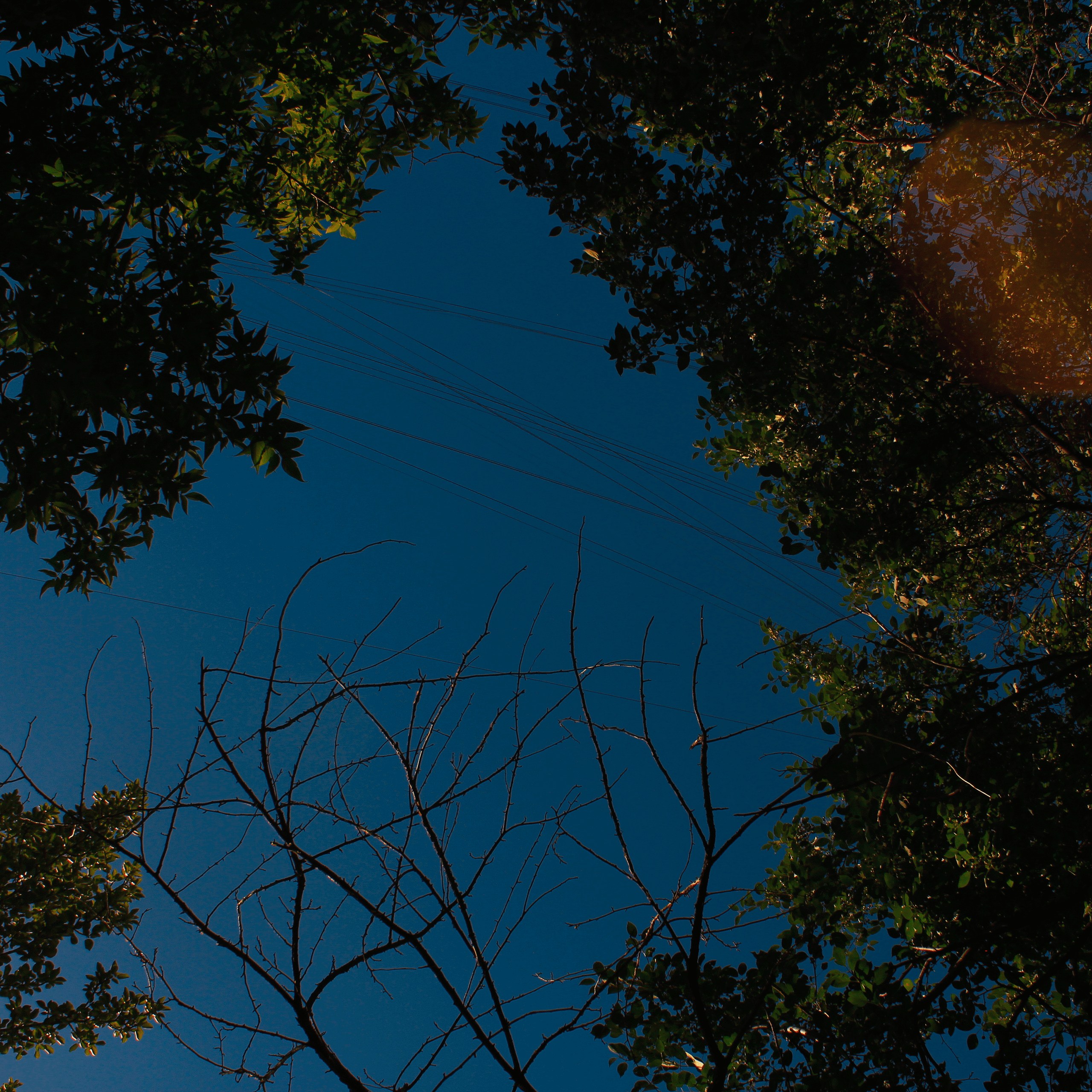 Summertime. Фотограф/дизайнер в Екатеринбурге Хитрый Дмитрий