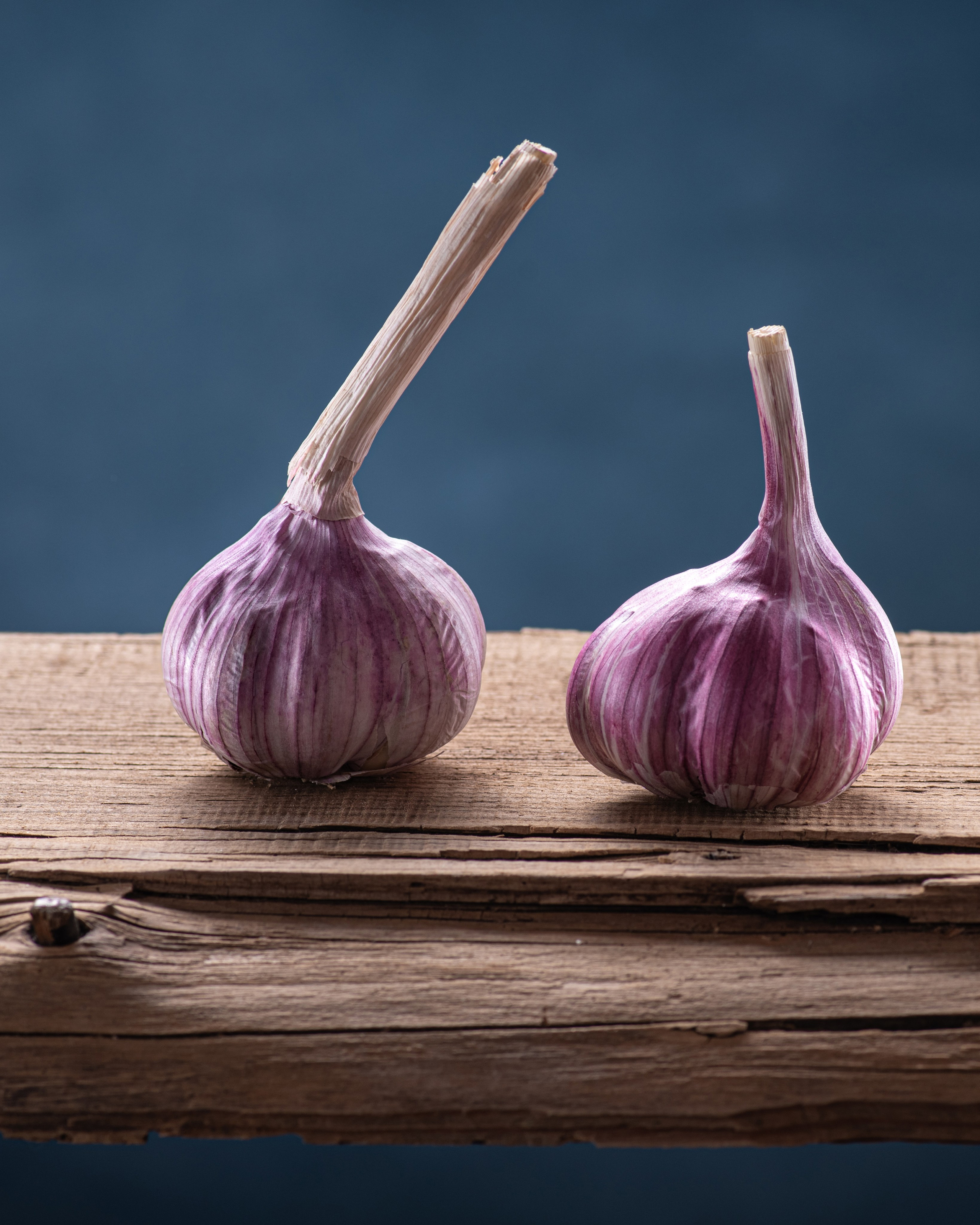 Фотографии для интерьеров в Ростове-на-Дону