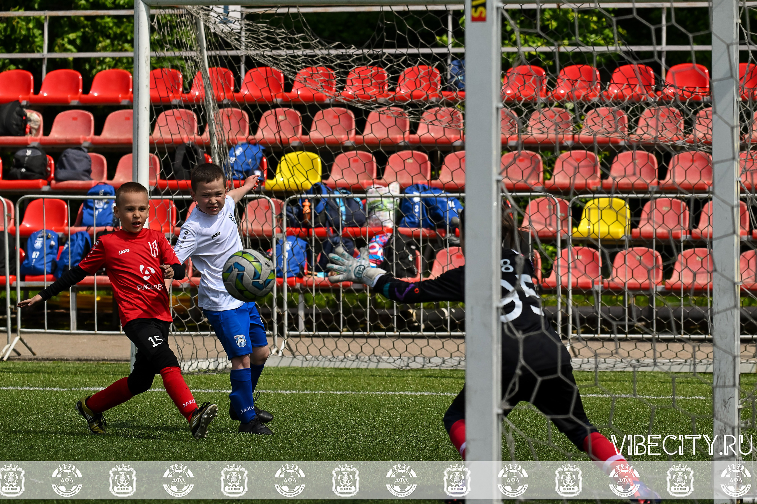 Большие Звезды светят Малым. VIBECITY.RU Вайб Сити Ру Фоторепортажи Фотоотчеты Калининград