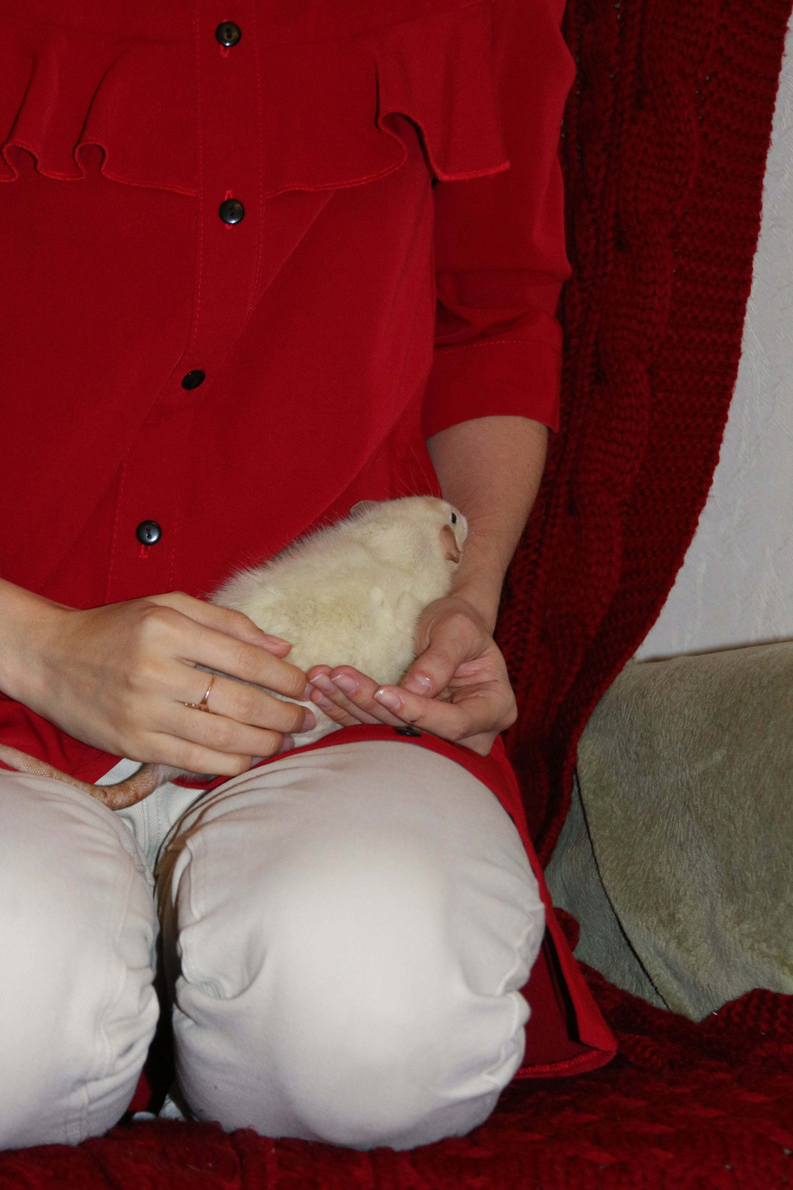 Съемка с питомцем