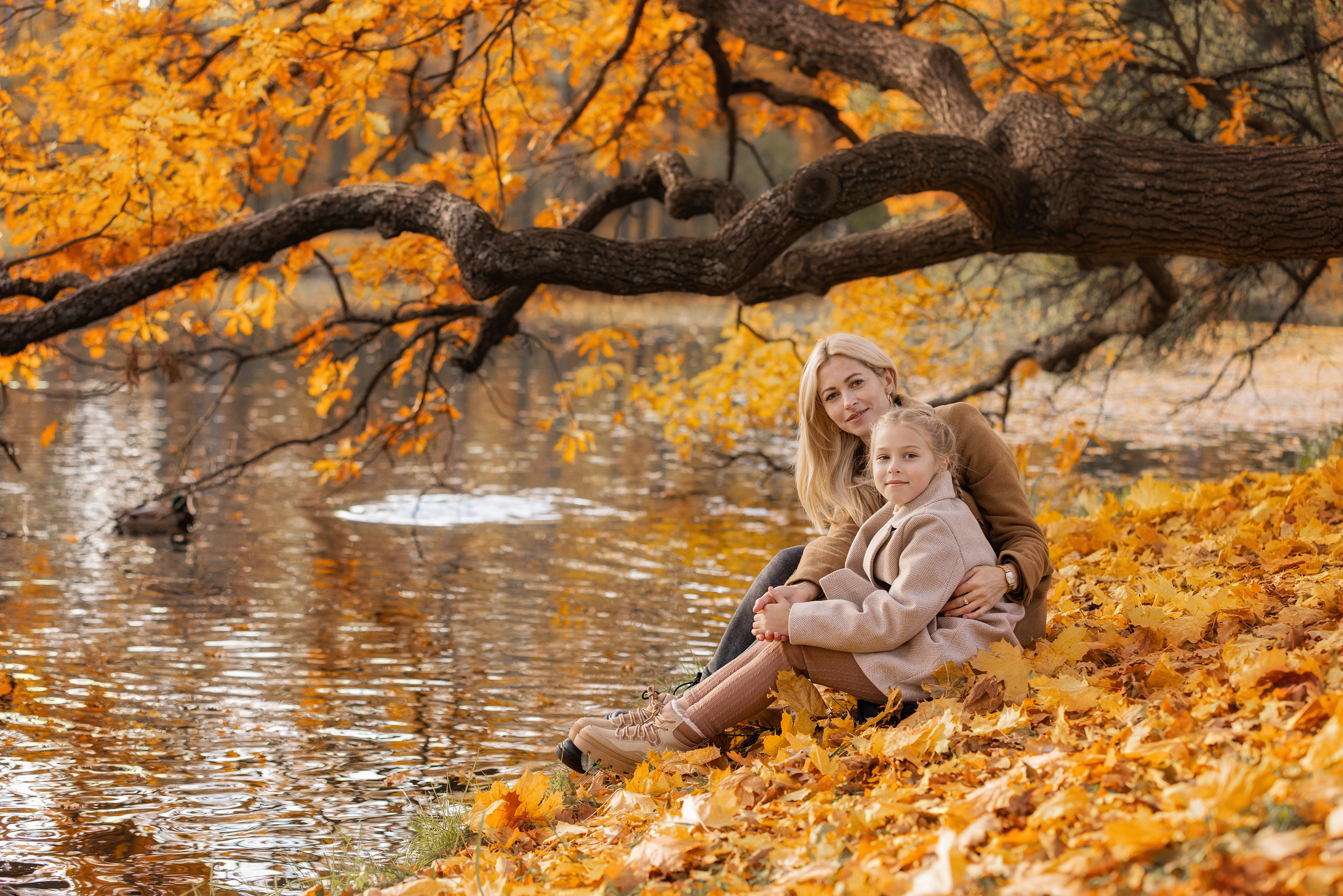 Осень. Фотограф Алена Звездина