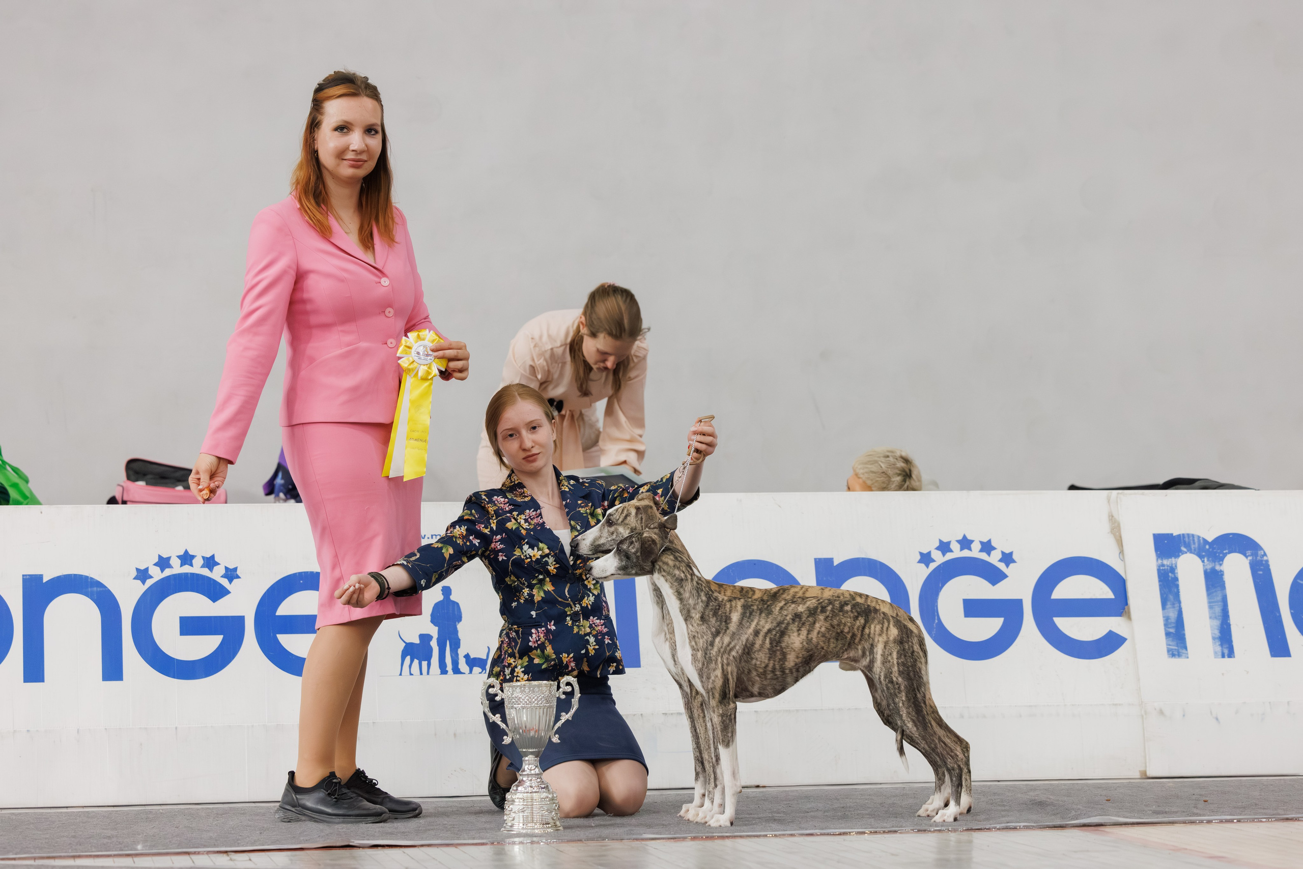 Ереван 2х CACIB 29-30.04.2025. Фотограф-анималист Юлия Германика