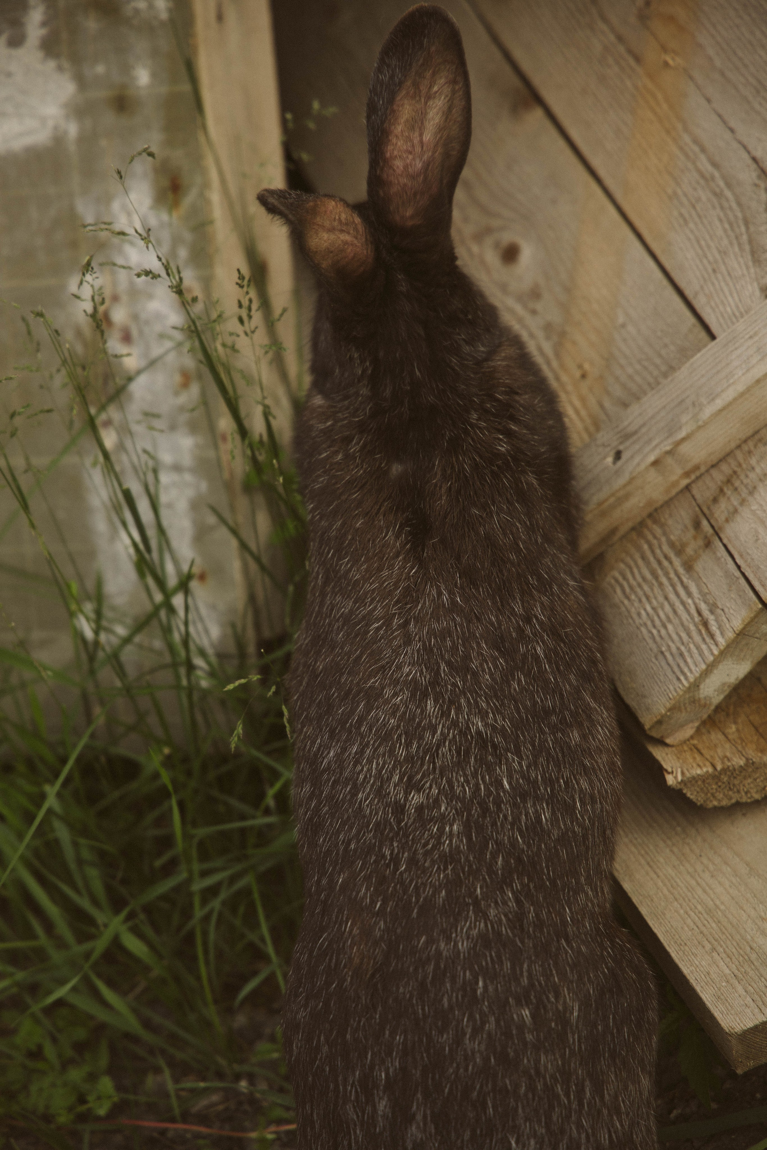 Никита и Настя. Портретный фотограф в Москве Сукач Мария