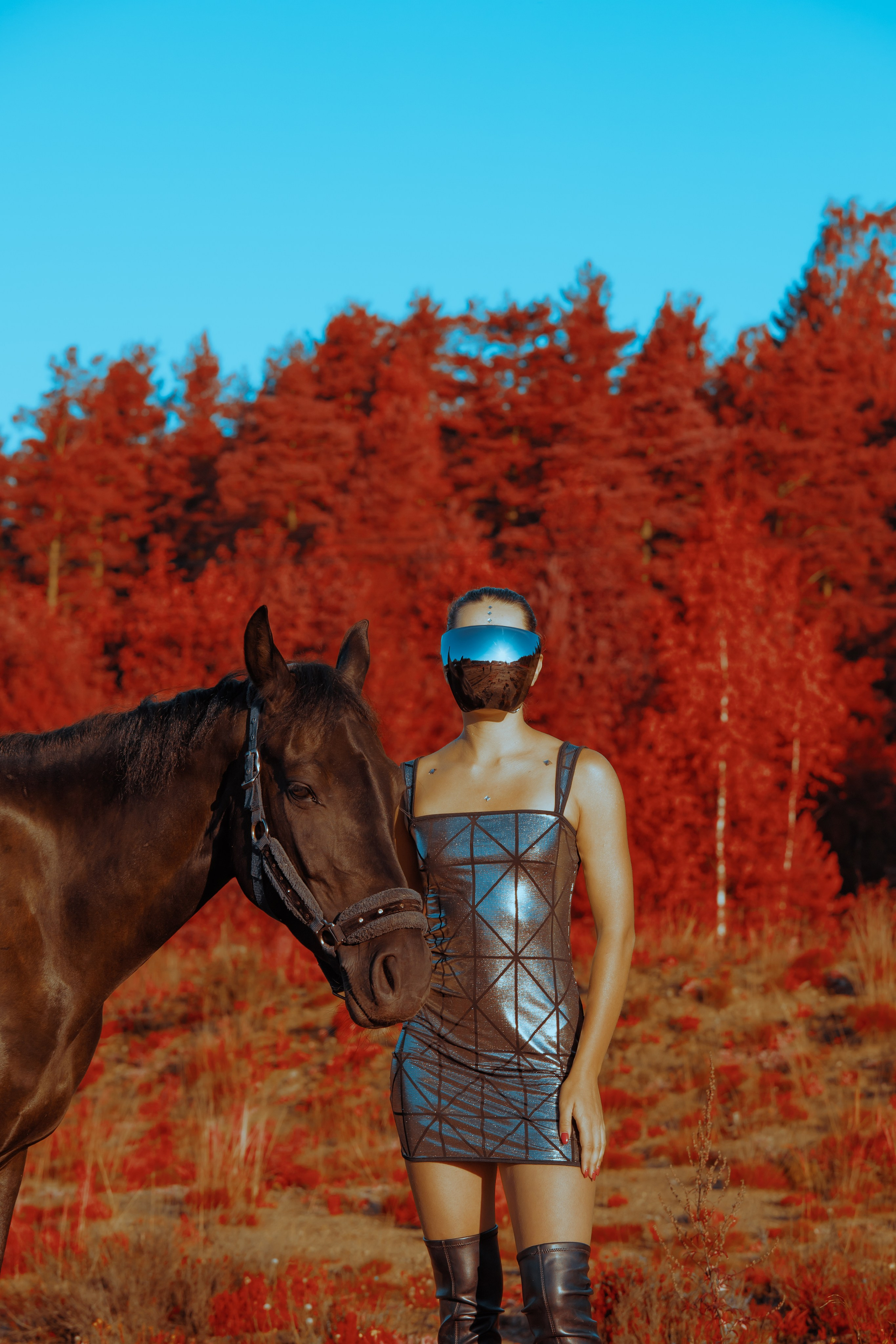 Первый контакт. Конный фотограф в Санкт-Петербурге Анна Лебедева