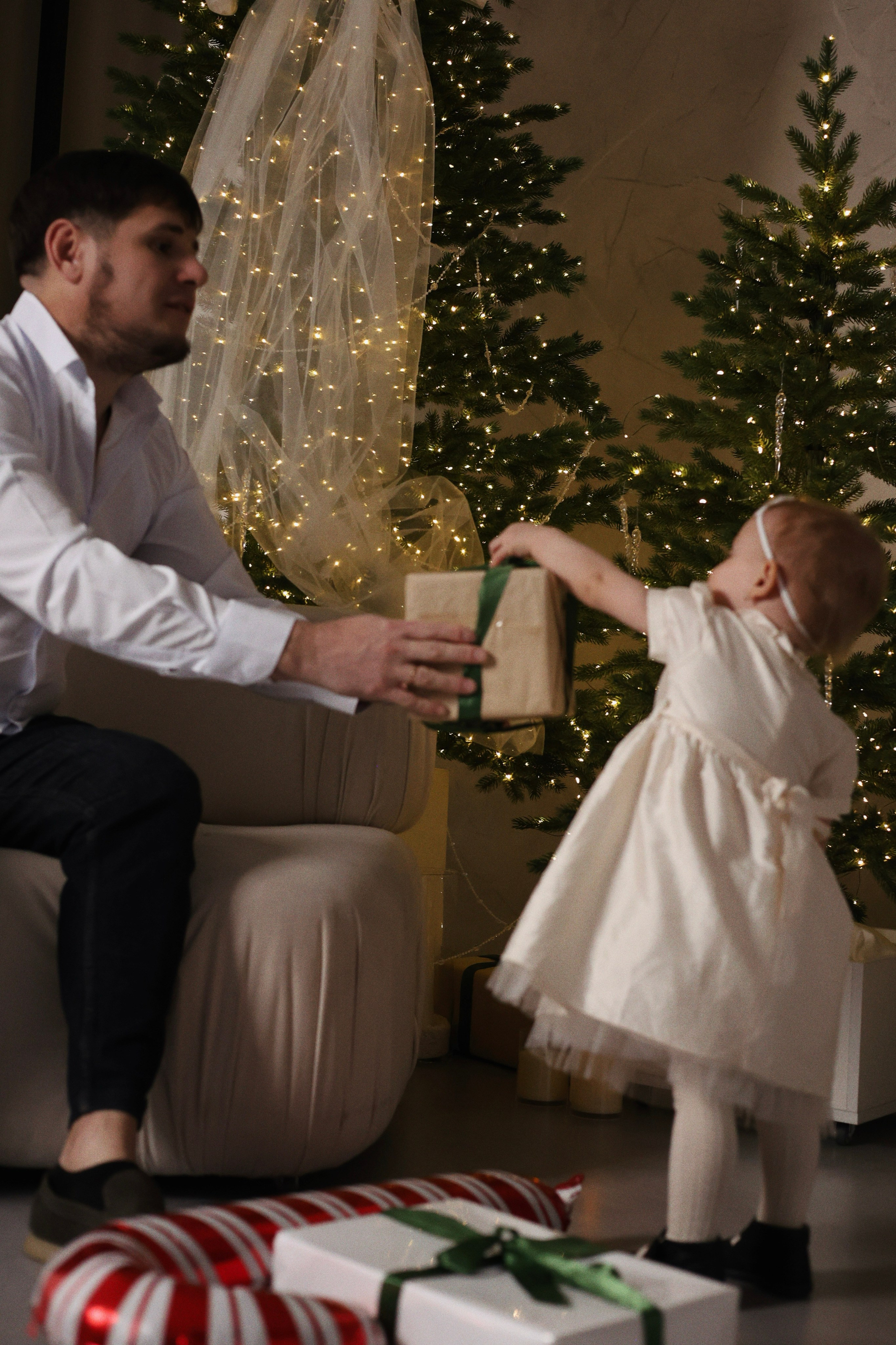 Новогодняя семейная. Главная