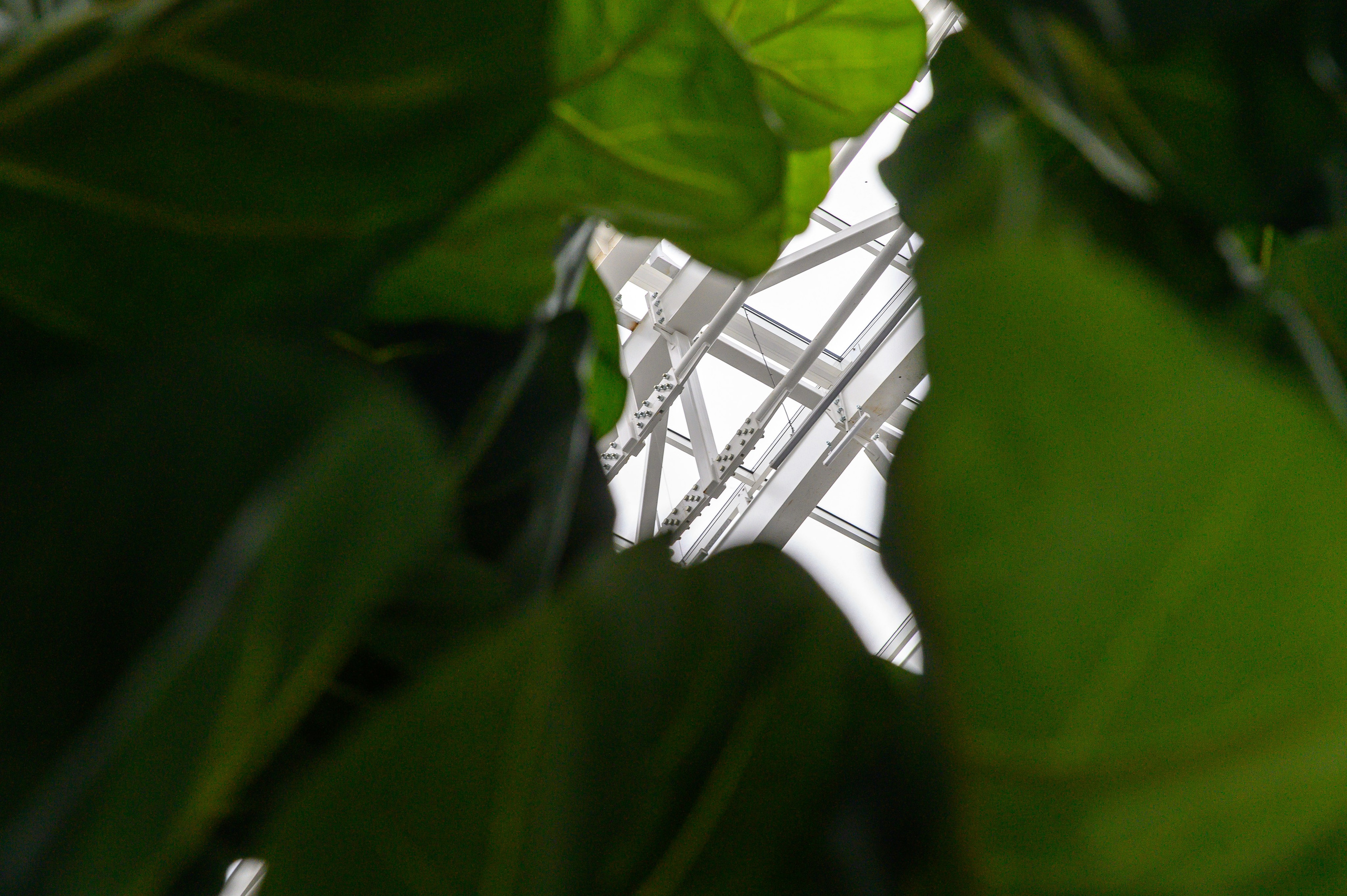 BelExpo. Фотоуслуги, услуги фотографа, фотографирование важных событий