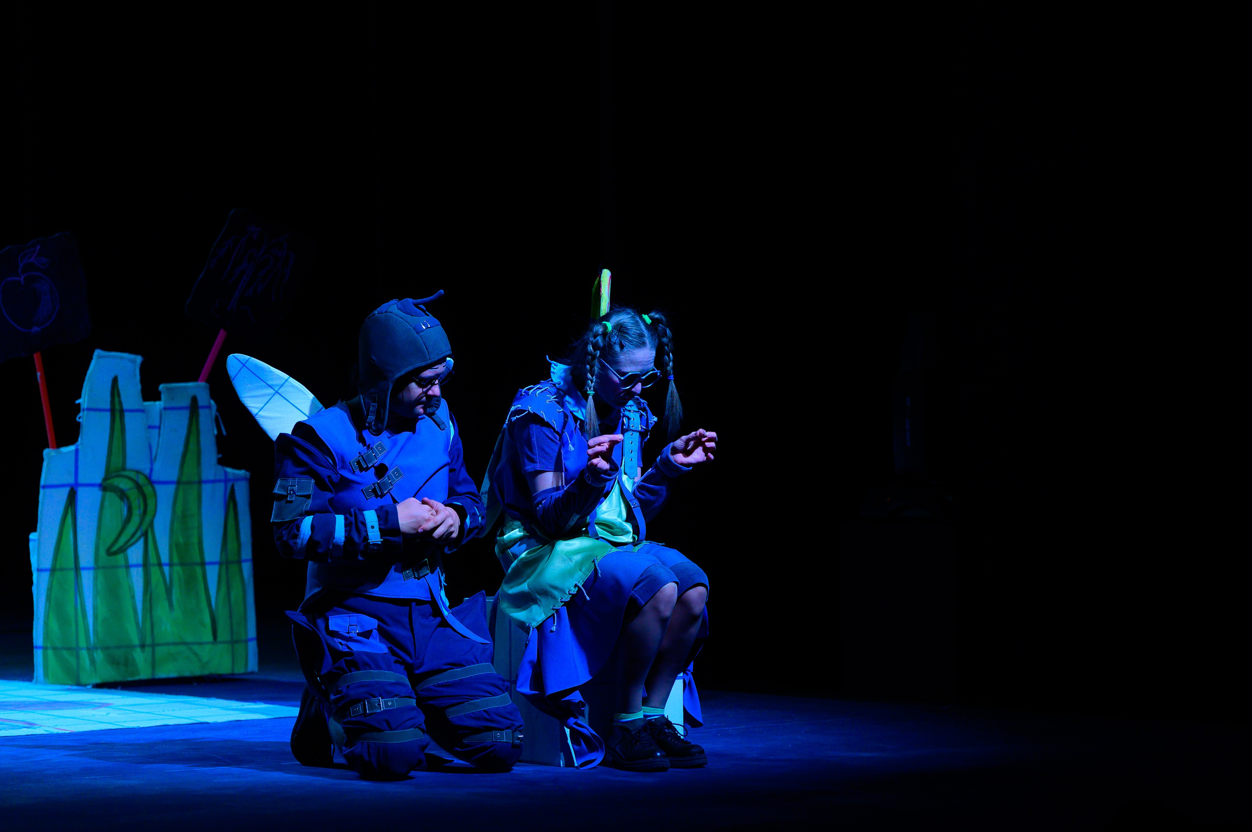 Муха Цокотуха. Фотоуслуги, услуги фотографа, фотографирование важных событий