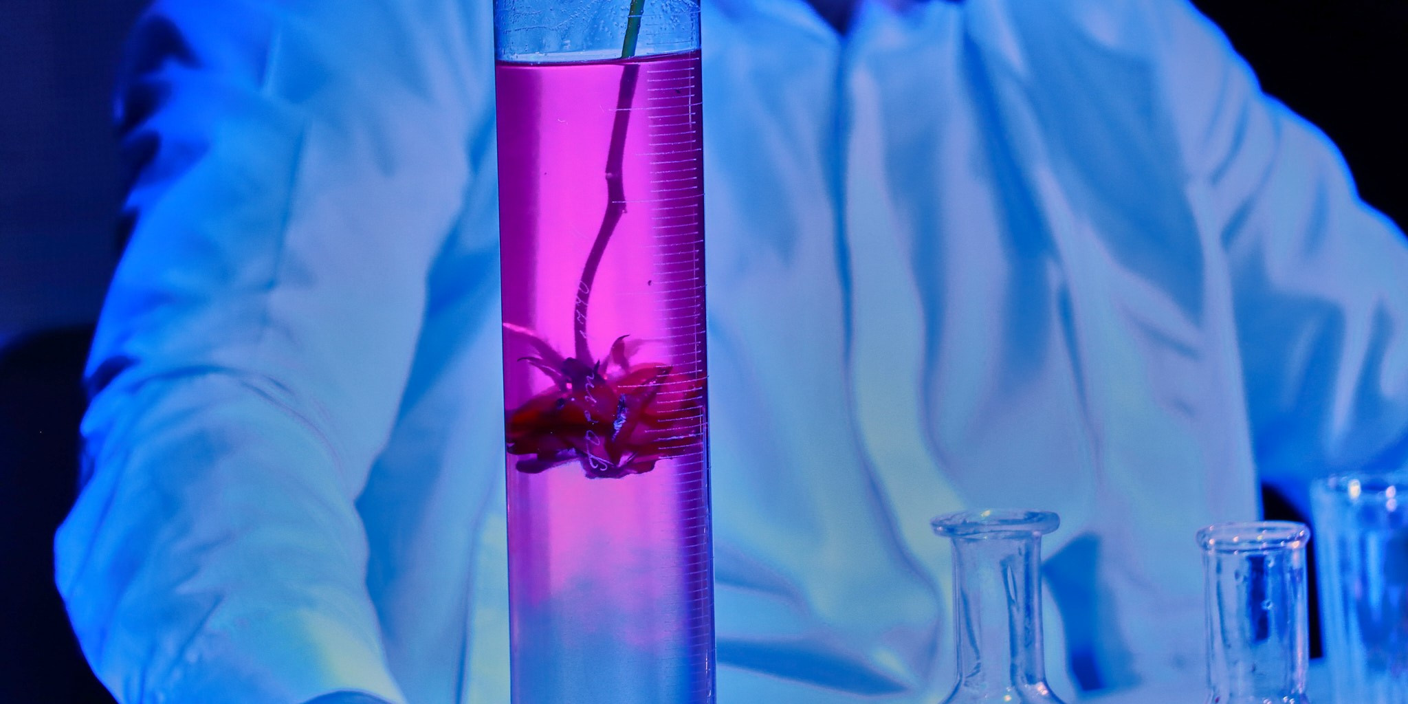 Ставропольский Театр Кукол