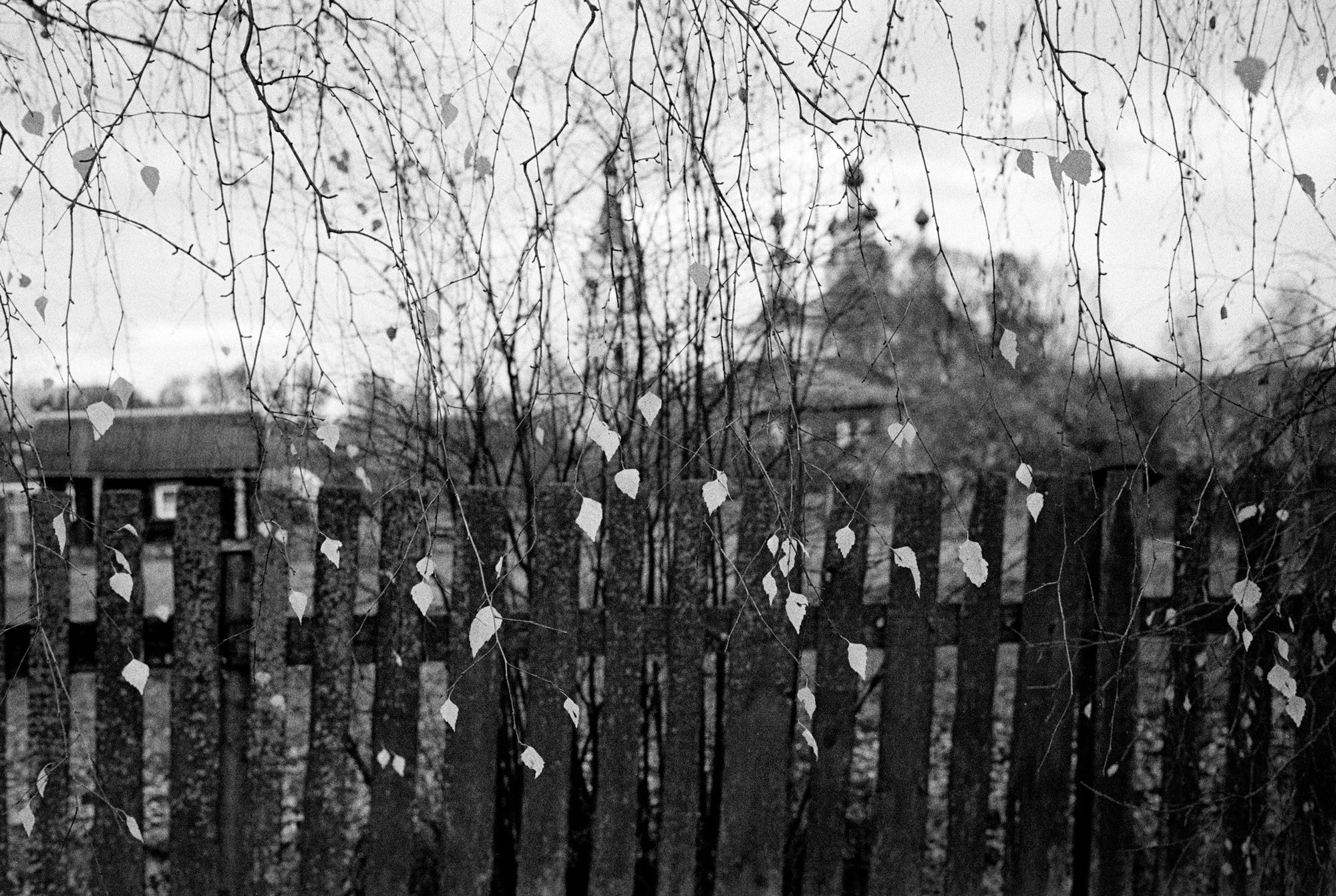 Кострома Blues. Документальный фотограф Алексей Мякишев, Москва