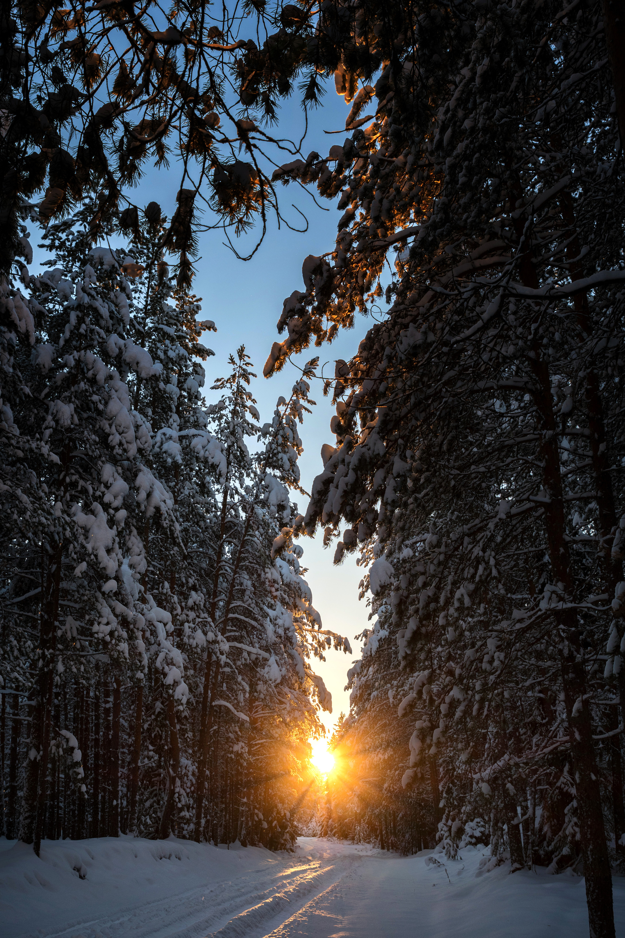 Разное. Фотограф в с. Ижма Республика Коми Терентьев Сергей