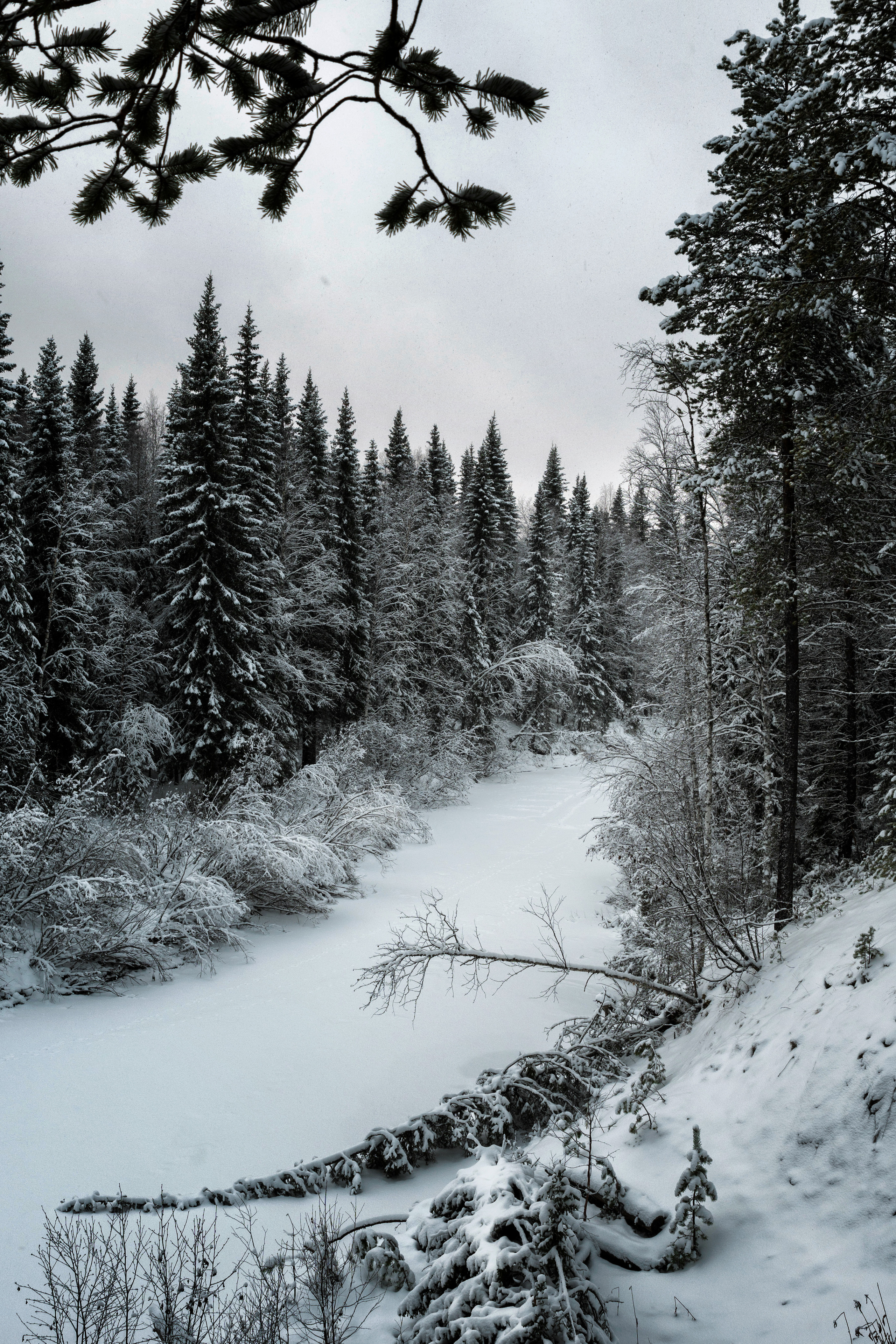 Разное. Фотограф в с. Ижма Республика Коми Терентьев Сергей
