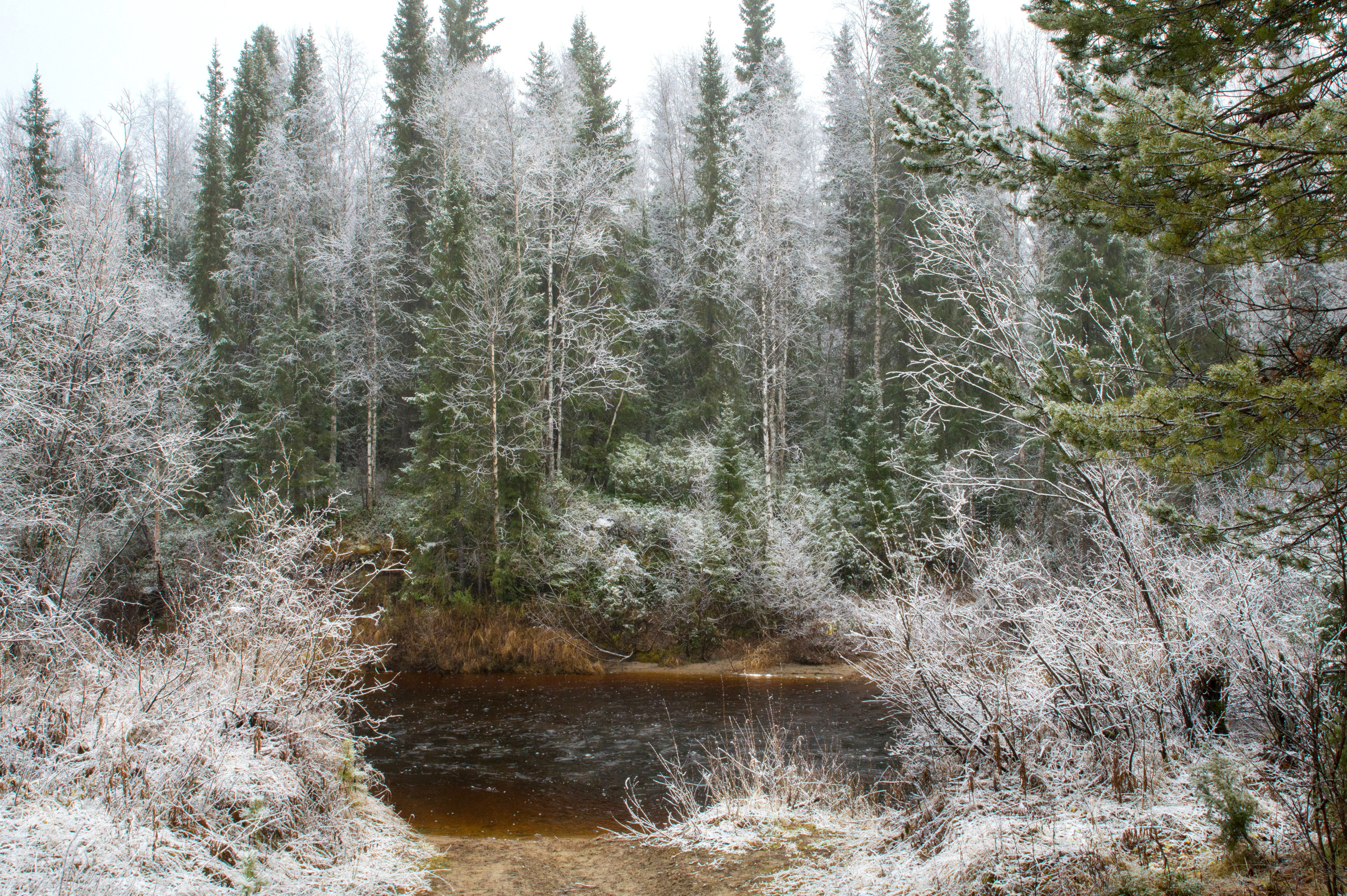Разное. Фотограф в с. Ижма Республика Коми Терентьев Сергей
