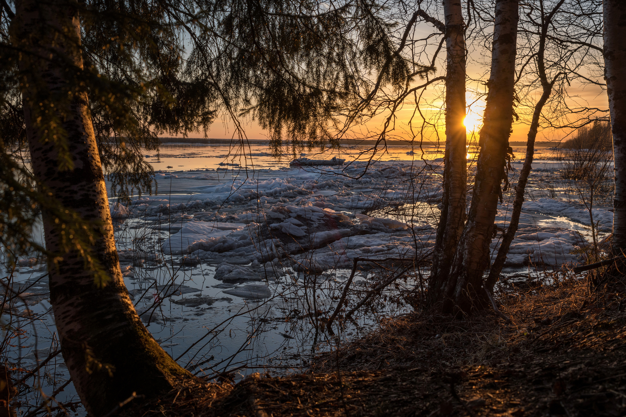 Ледоход на Ижме. Фотограф в с. Ижма Республика Коми Терентьев Сергей