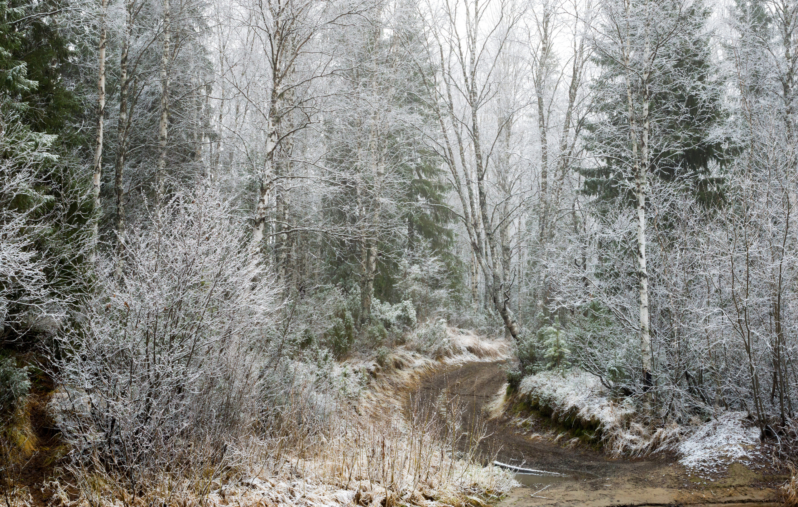 Разное. Фотограф в с. Ижма Республика Коми Терентьев Сергей