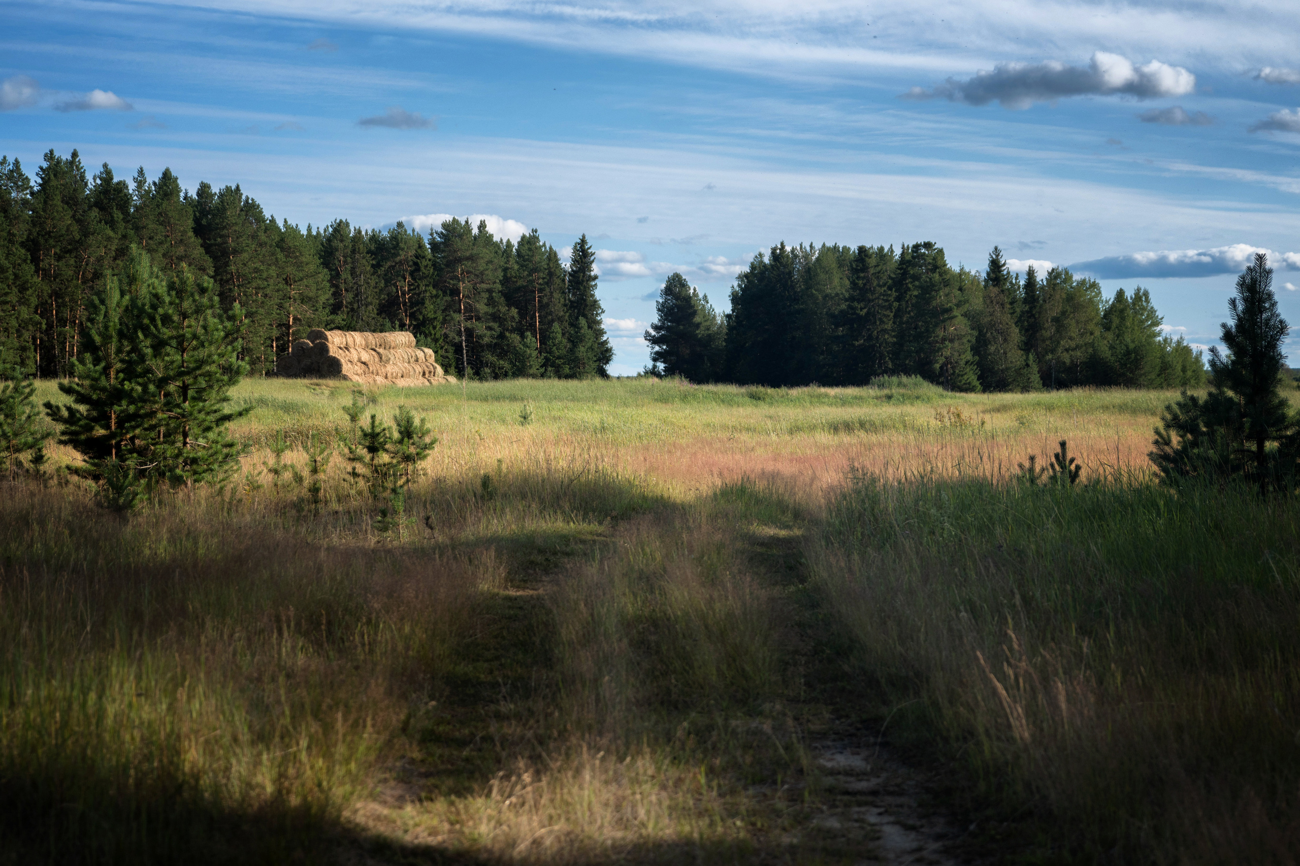 Лето. Фотограф в с. Ижма Республика Коми Терентьев Сергей