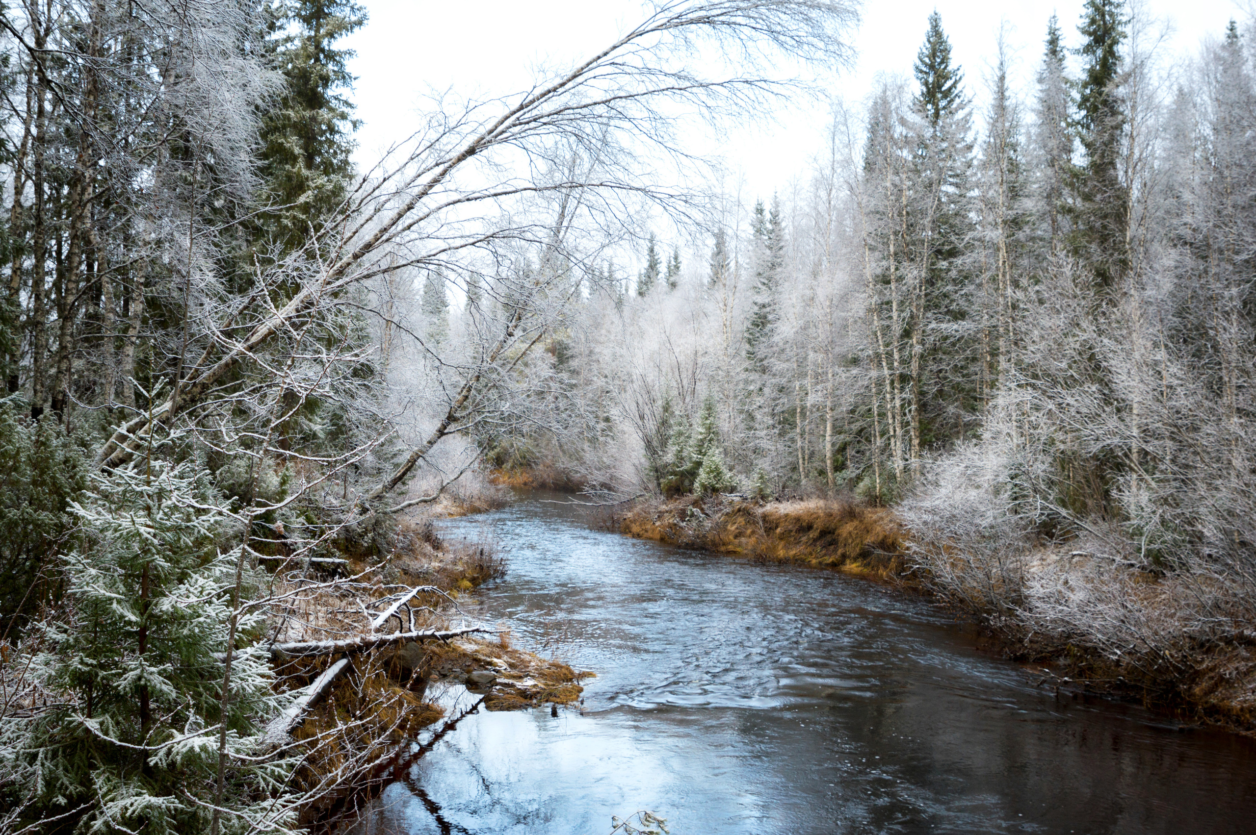 Разное. Фотограф в с. Ижма Республика Коми Терентьев Сергей