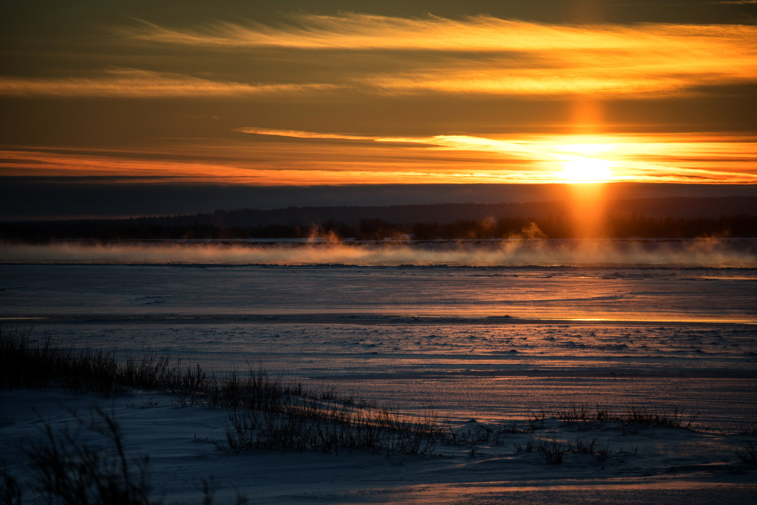 Разное. Фотограф в с. Ижма Республика Коми Терентьев Сергей
