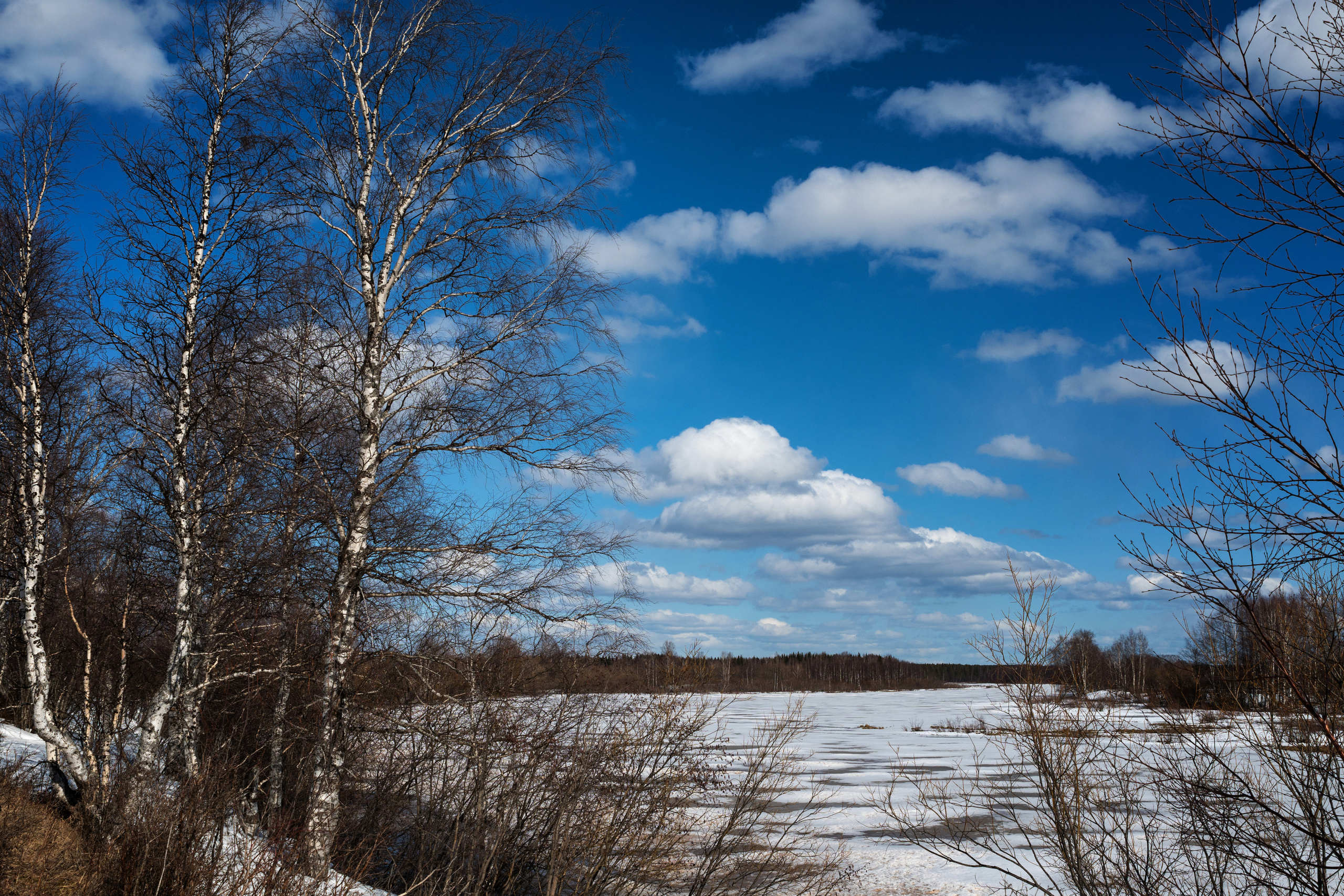 Ледоход на Ижме. Фотограф в с. Ижма Республика Коми Терентьев Сергей