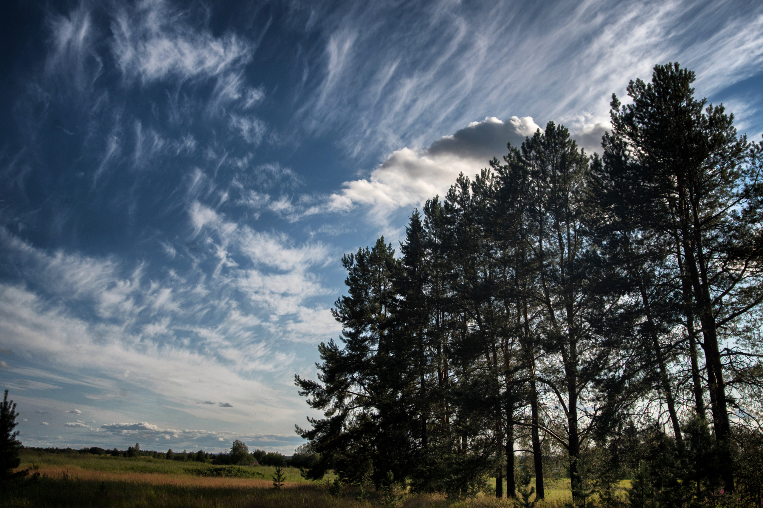 Лето. Фотограф в с. Ижма Республика Коми Терентьев Сергей