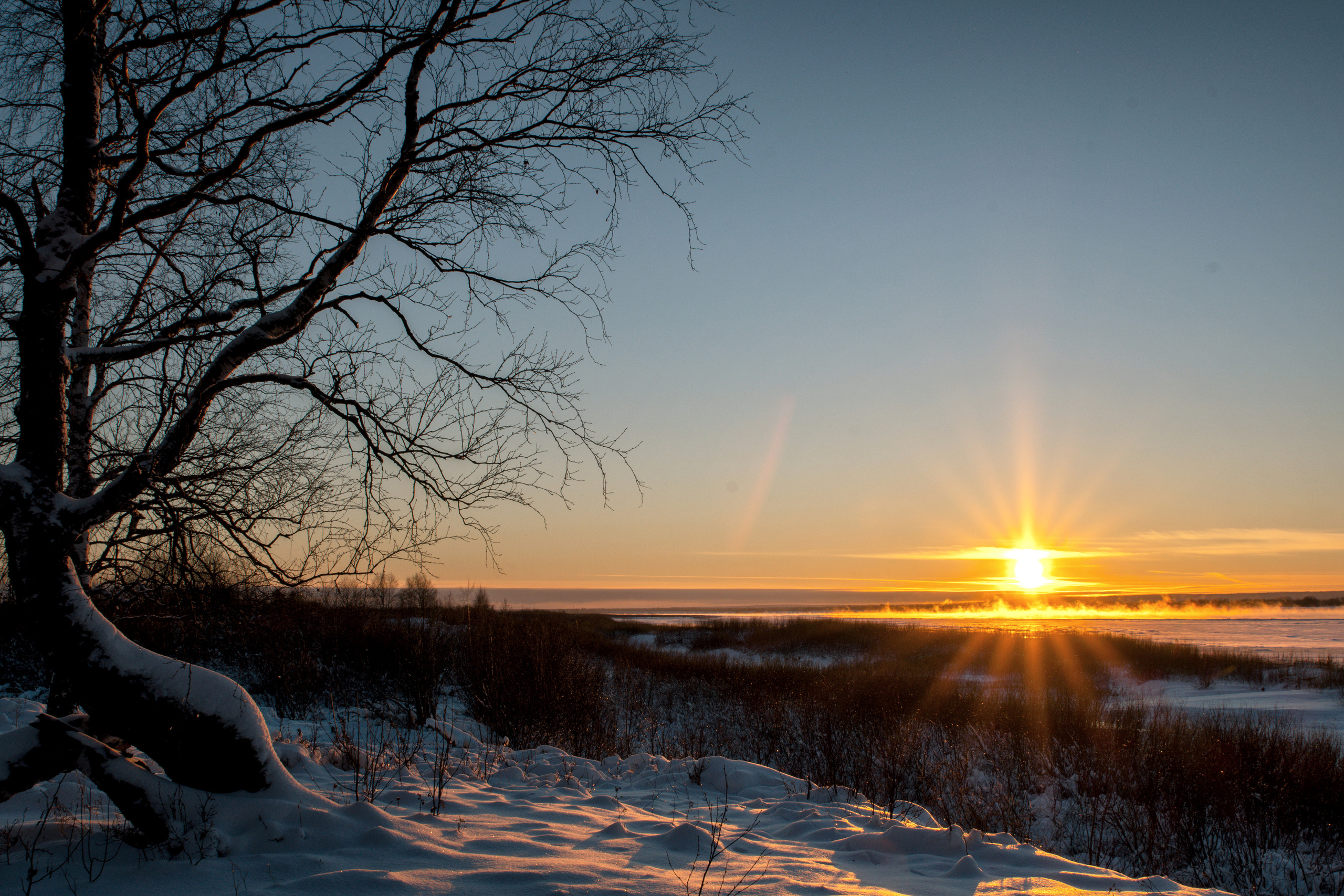 Разное. Фотограф в с. Ижма Республика Коми Терентьев Сергей