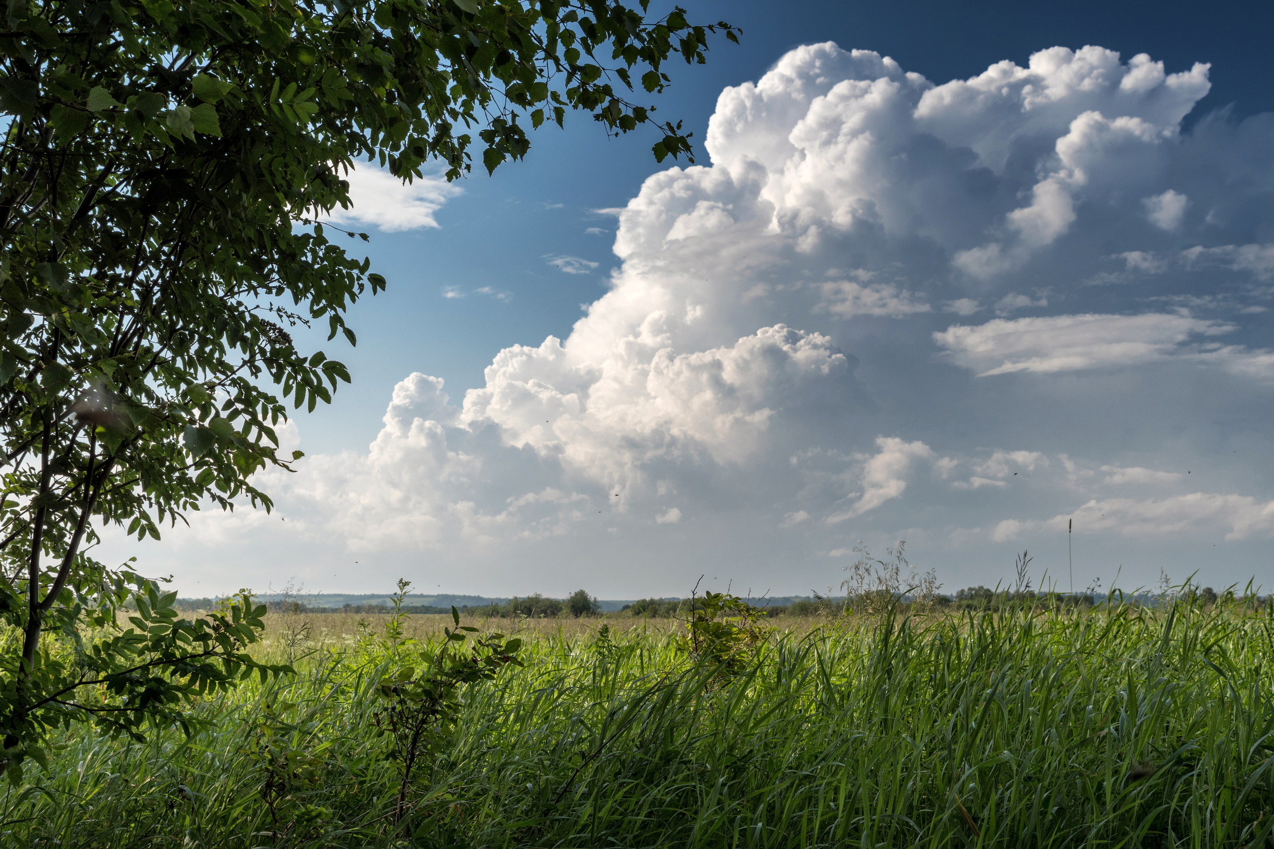 Отзывы. Фотограф в с. Ижма Республика Коми Терентьев Сергей