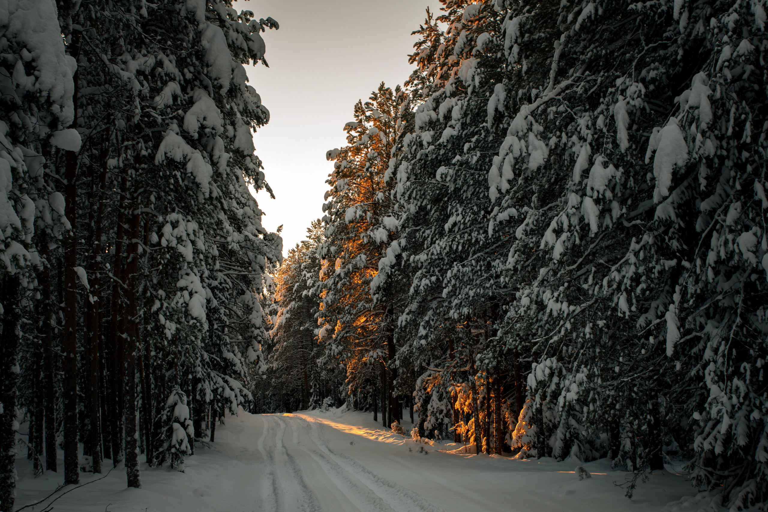 Разное. Фотограф в с. Ижма Республика Коми Терентьев Сергей