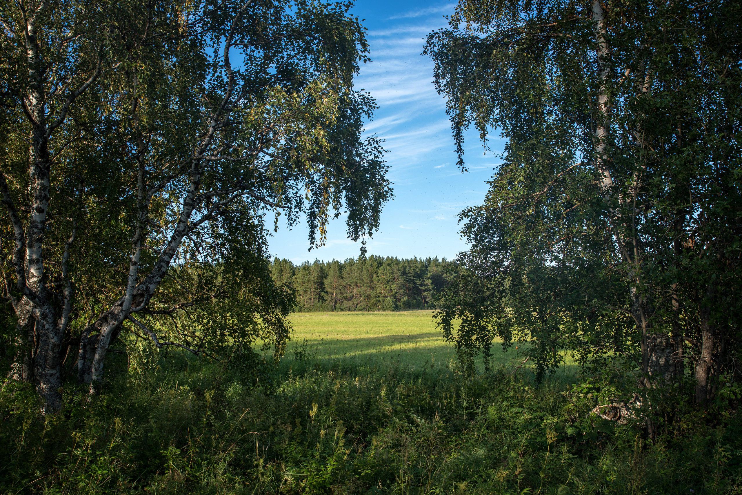 Лето. Фотограф в с. Ижма Республика Коми Терентьев Сергей