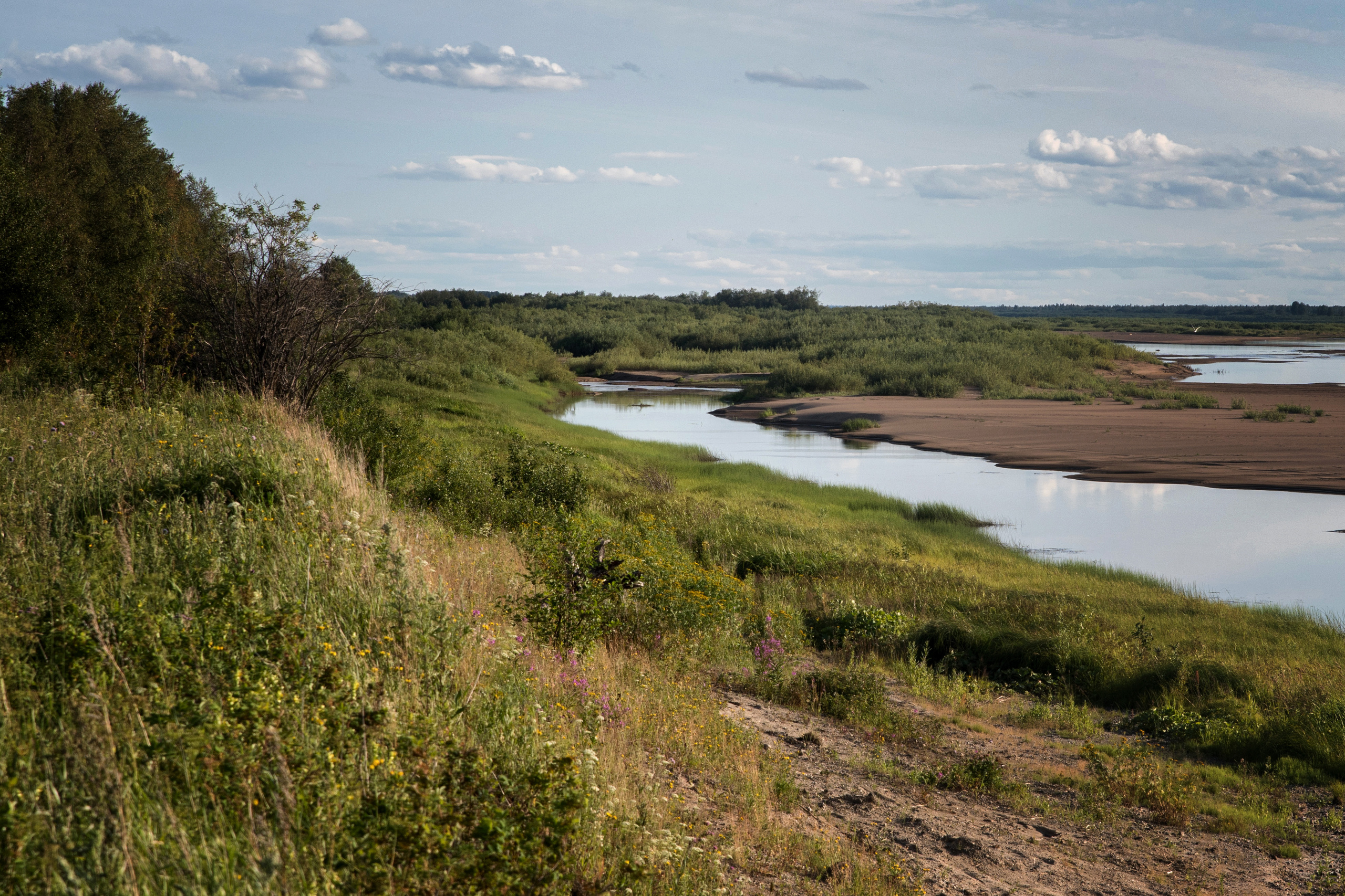 Лето. Фотограф в с. Ижма Республика Коми Терентьев Сергей