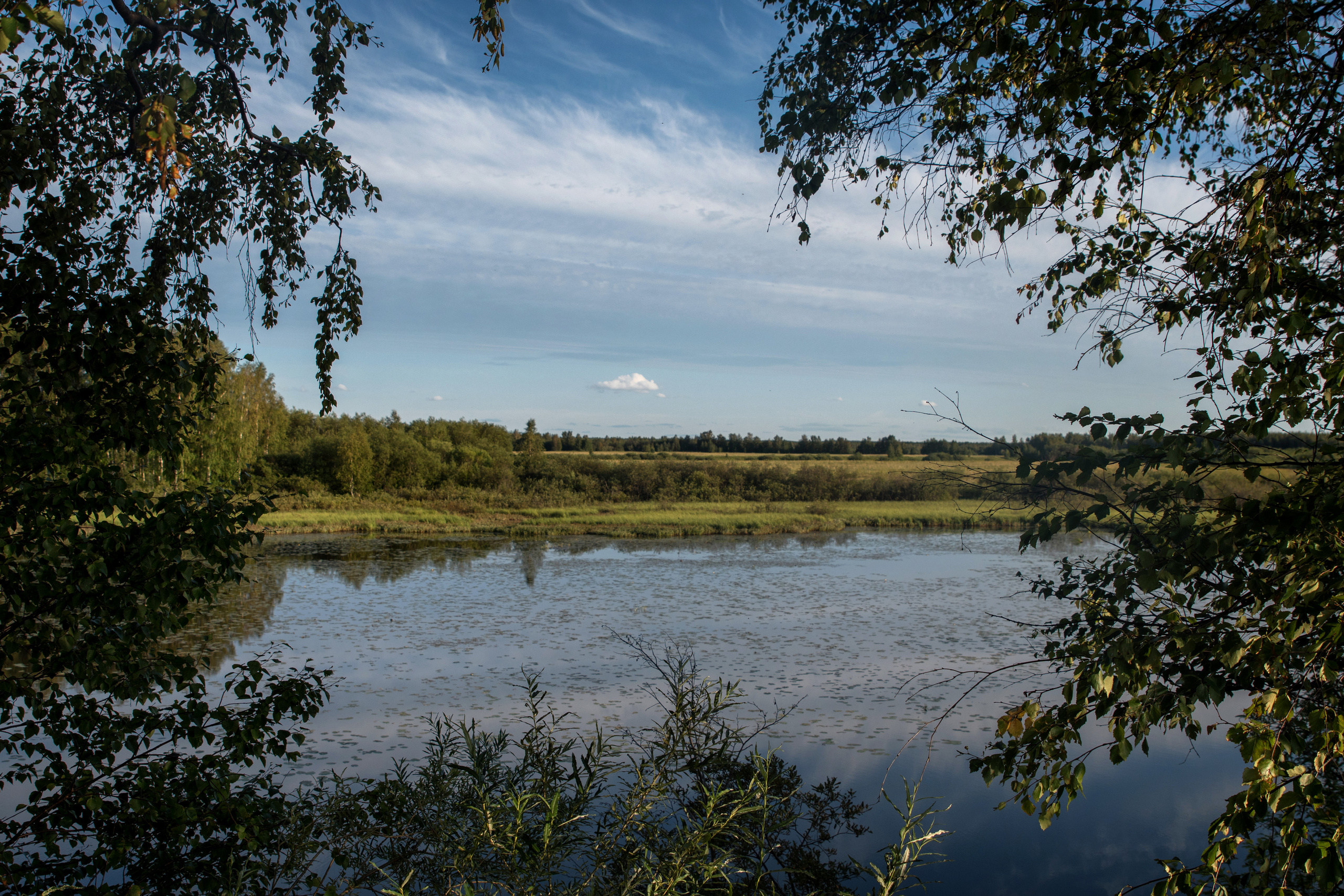 Лето. Фотограф в с. Ижма Республика Коми Терентьев Сергей