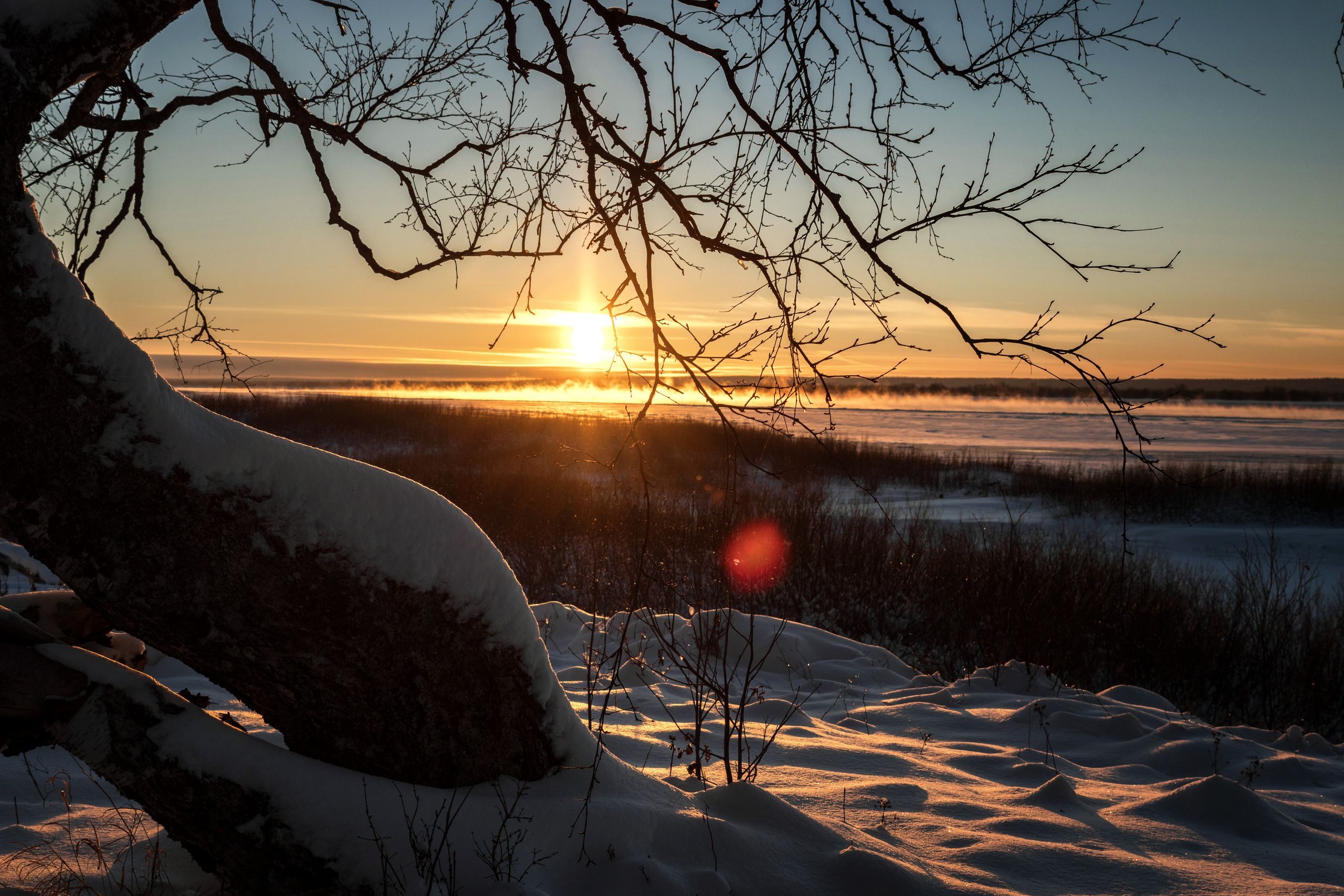 Разное. Фотограф в с. Ижма Республика Коми Терентьев Сергей