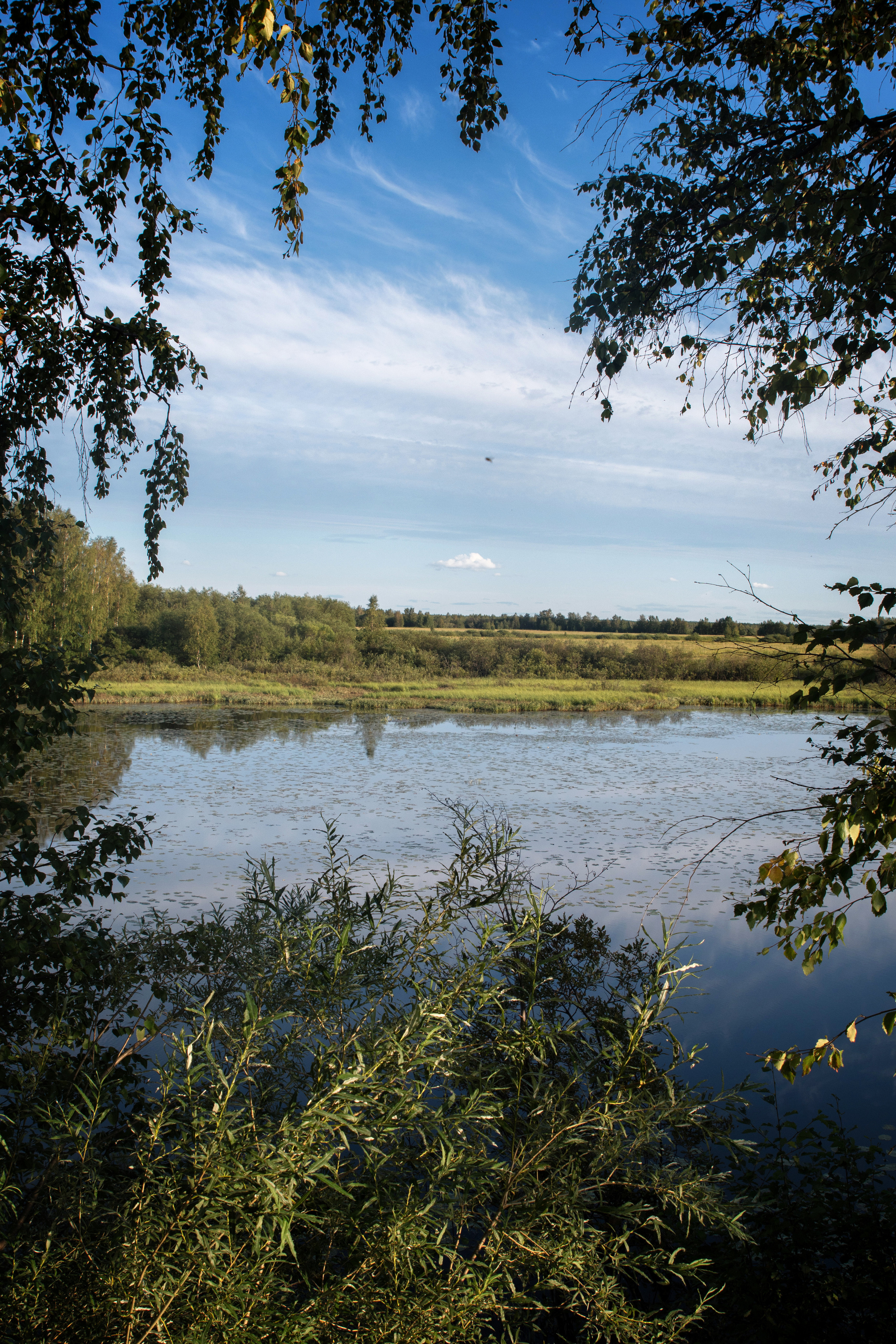 Лето. Фотограф в с. Ижма Республика Коми Терентьев Сергей