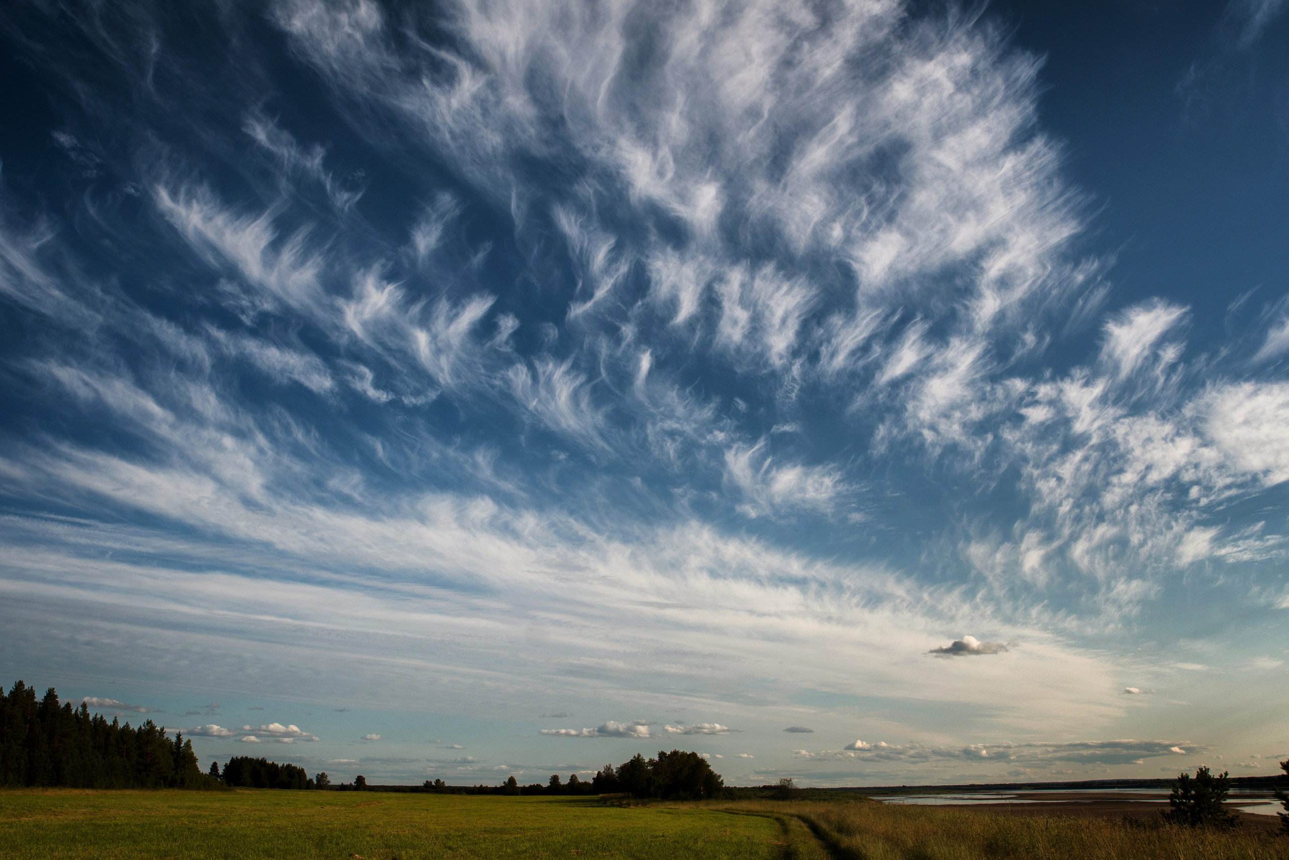 Лето. Фотограф в с. Ижма Республика Коми Терентьев Сергей
