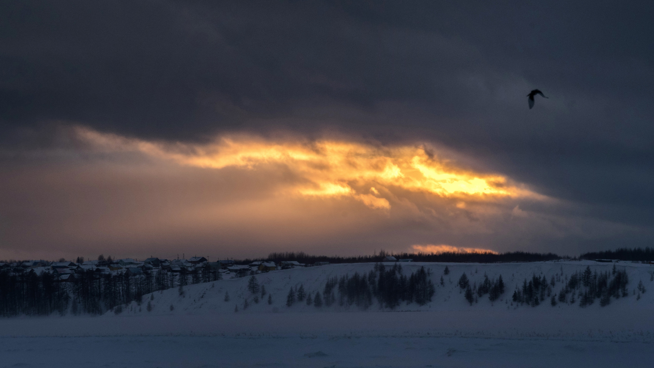 Зимний закат. Фотограф в с. Ижма Республика Коми Терентьев Сергей