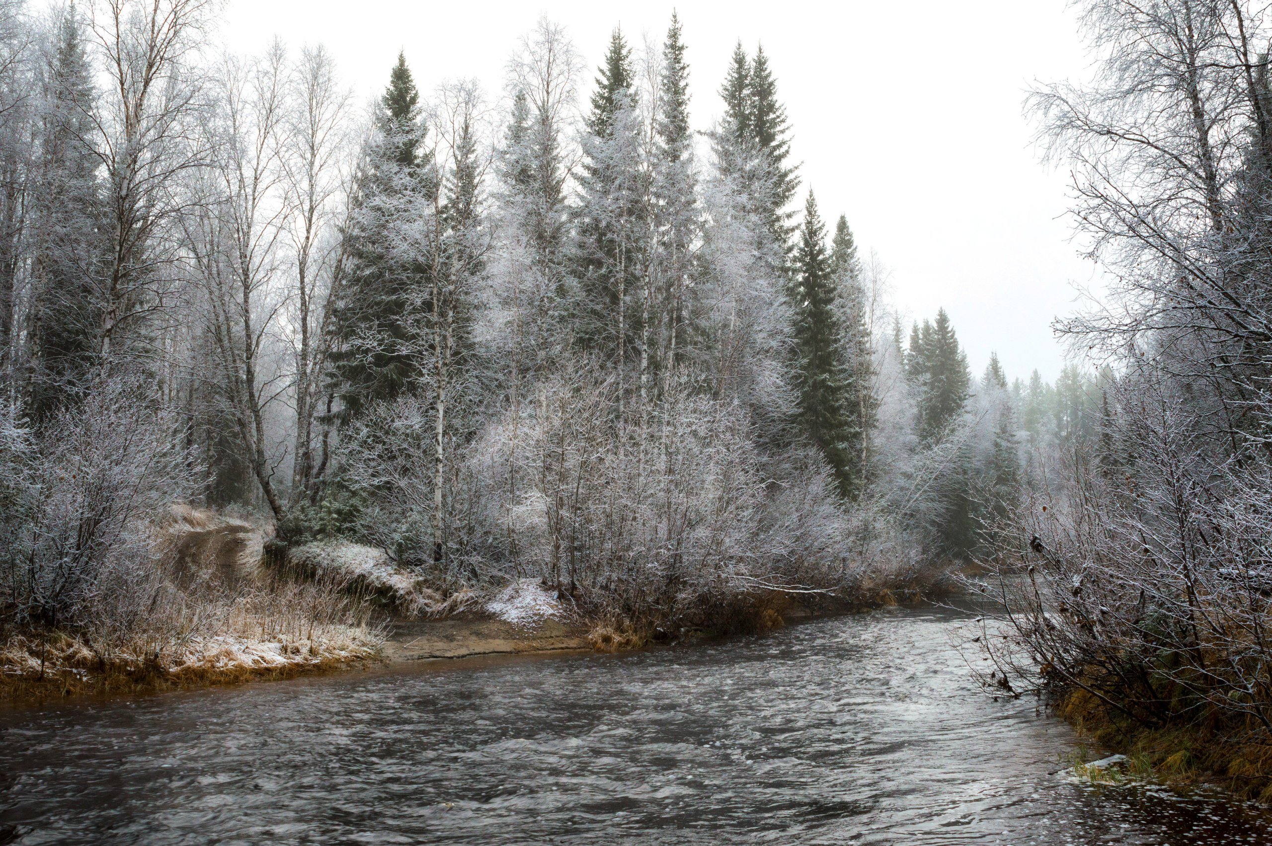 Разное. Фотограф в с. Ижма Республика Коми Терентьев Сергей