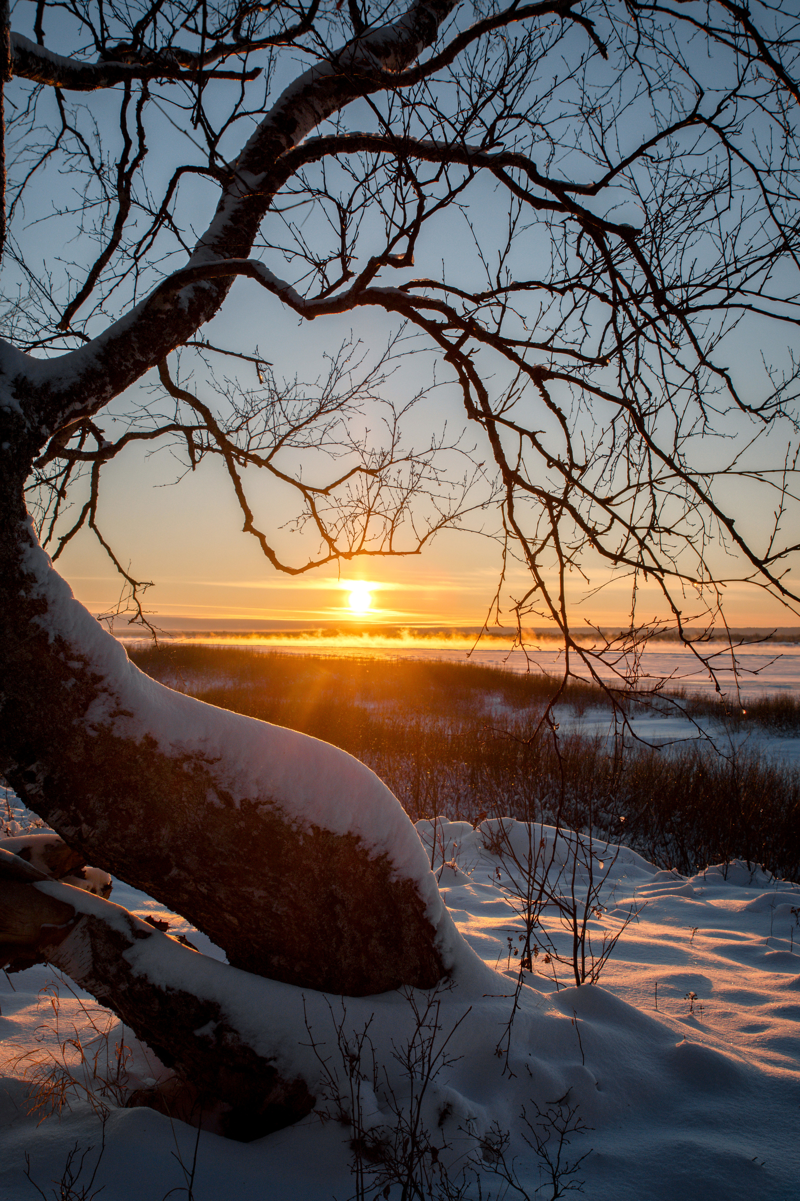 Разное. Фотограф в с. Ижма Республика Коми Терентьев Сергей