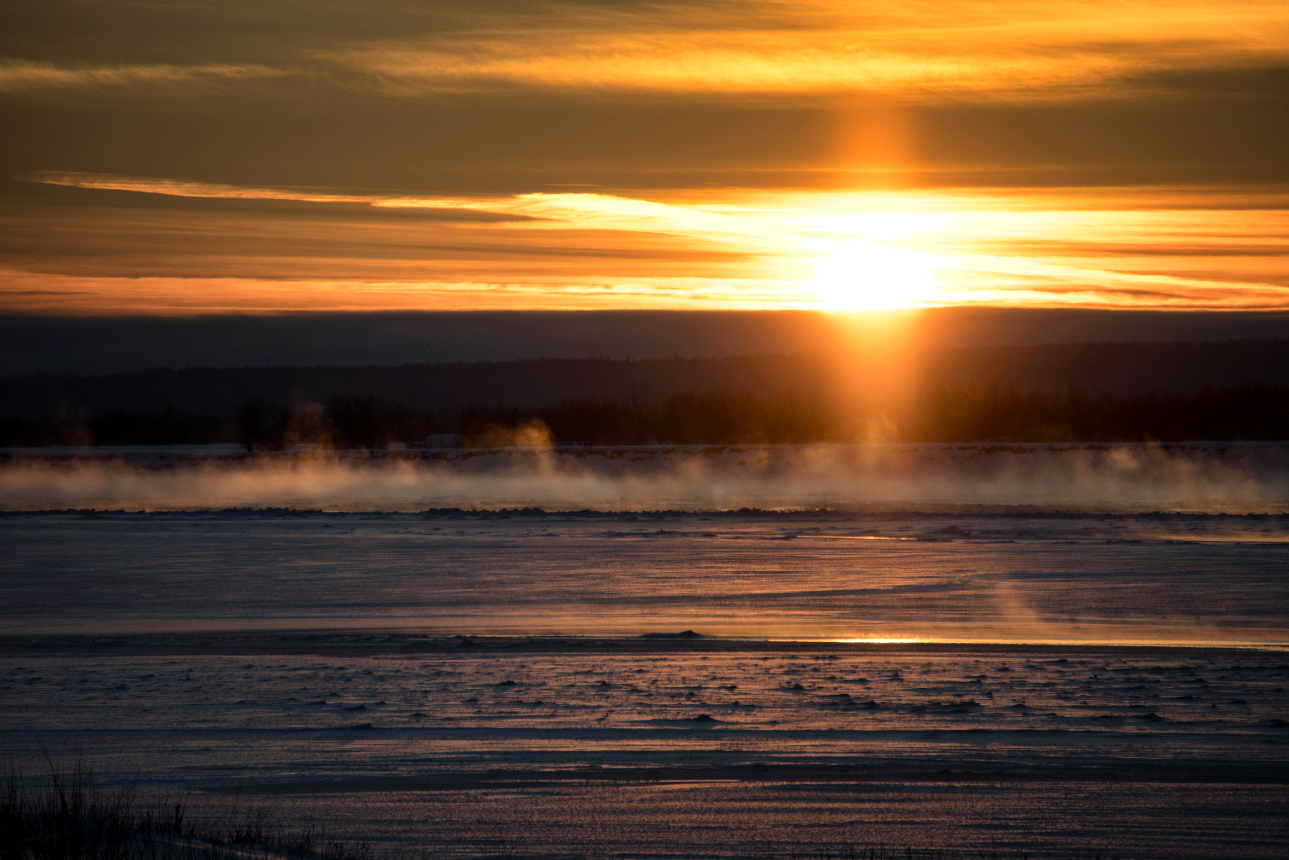 Разное. Фотограф в с. Ижма Республика Коми Терентьев Сергей